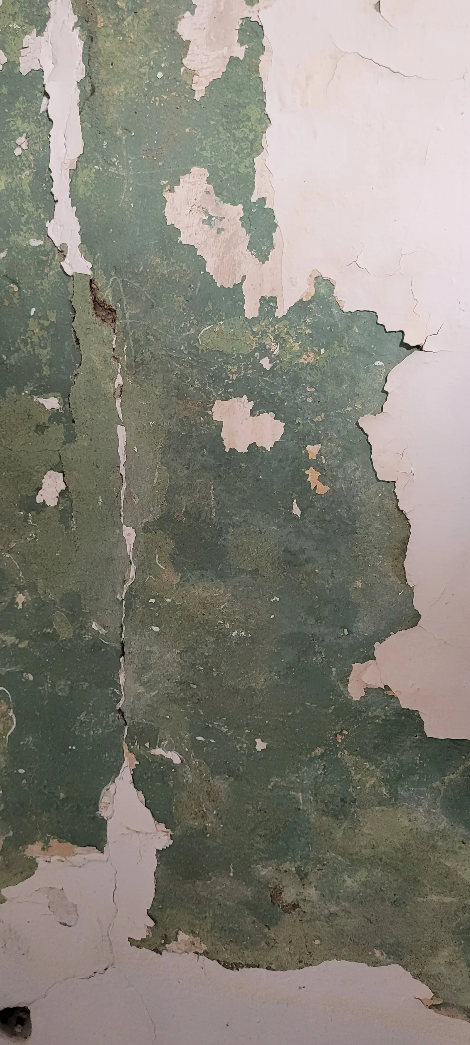 Paint3 texture