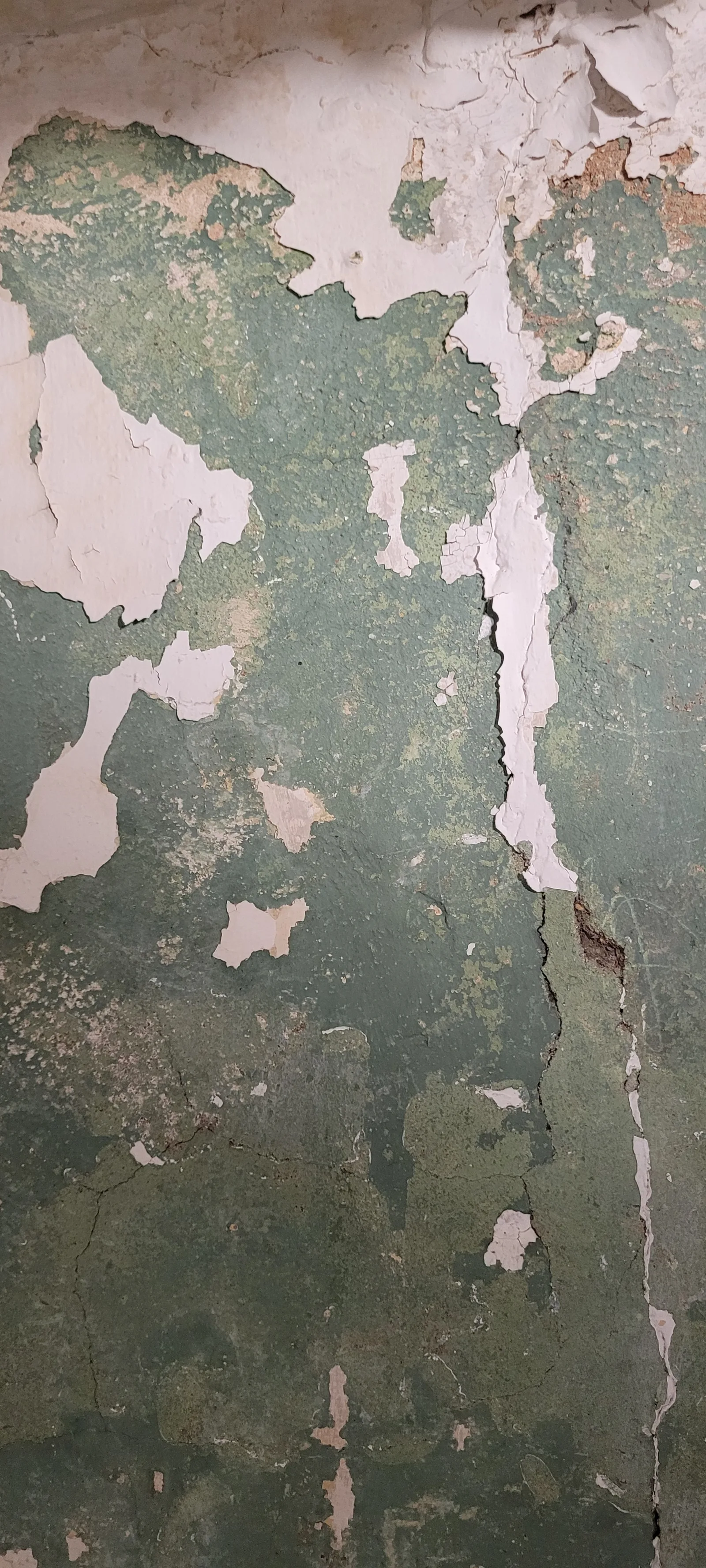 Paint4 texture