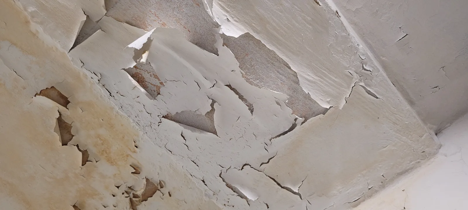Paint5 texture