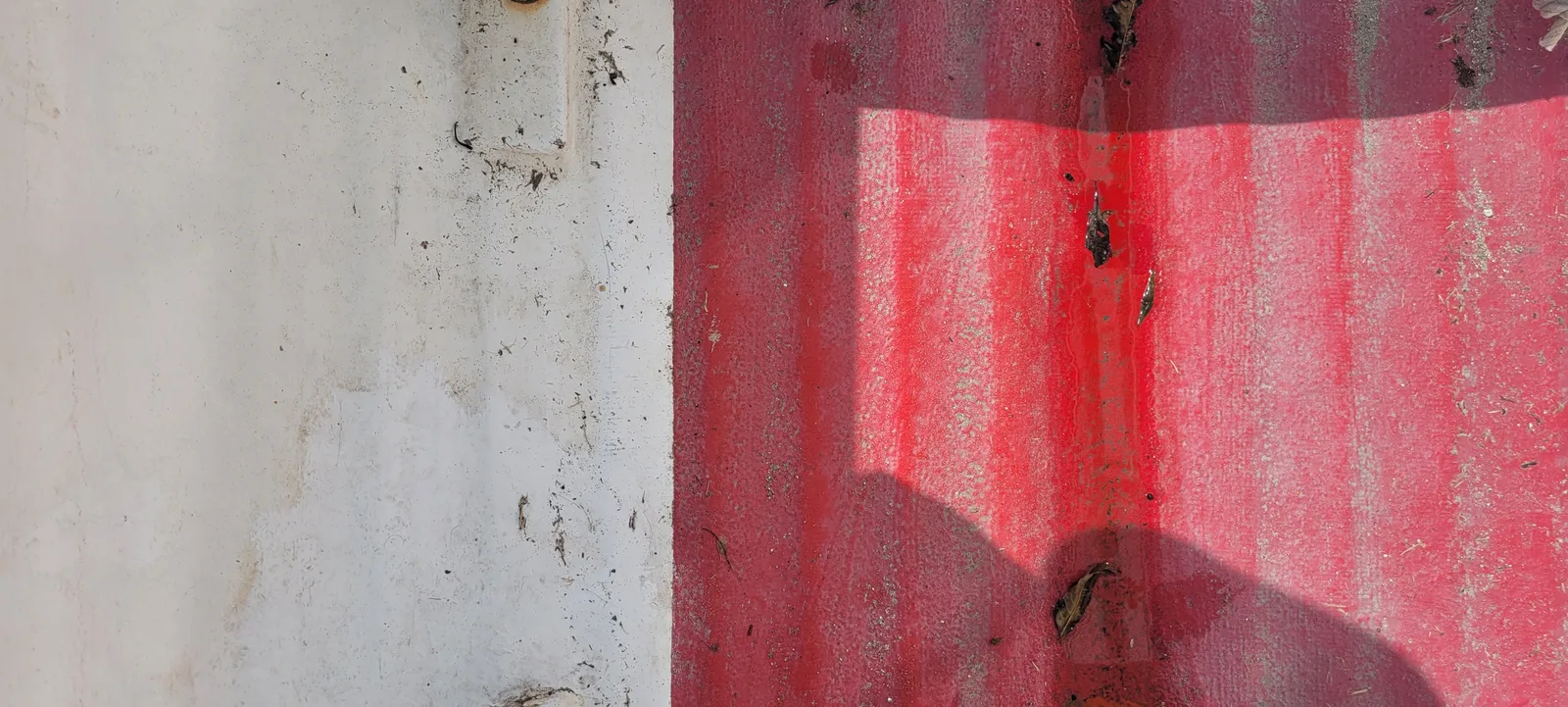 Paint12 texture