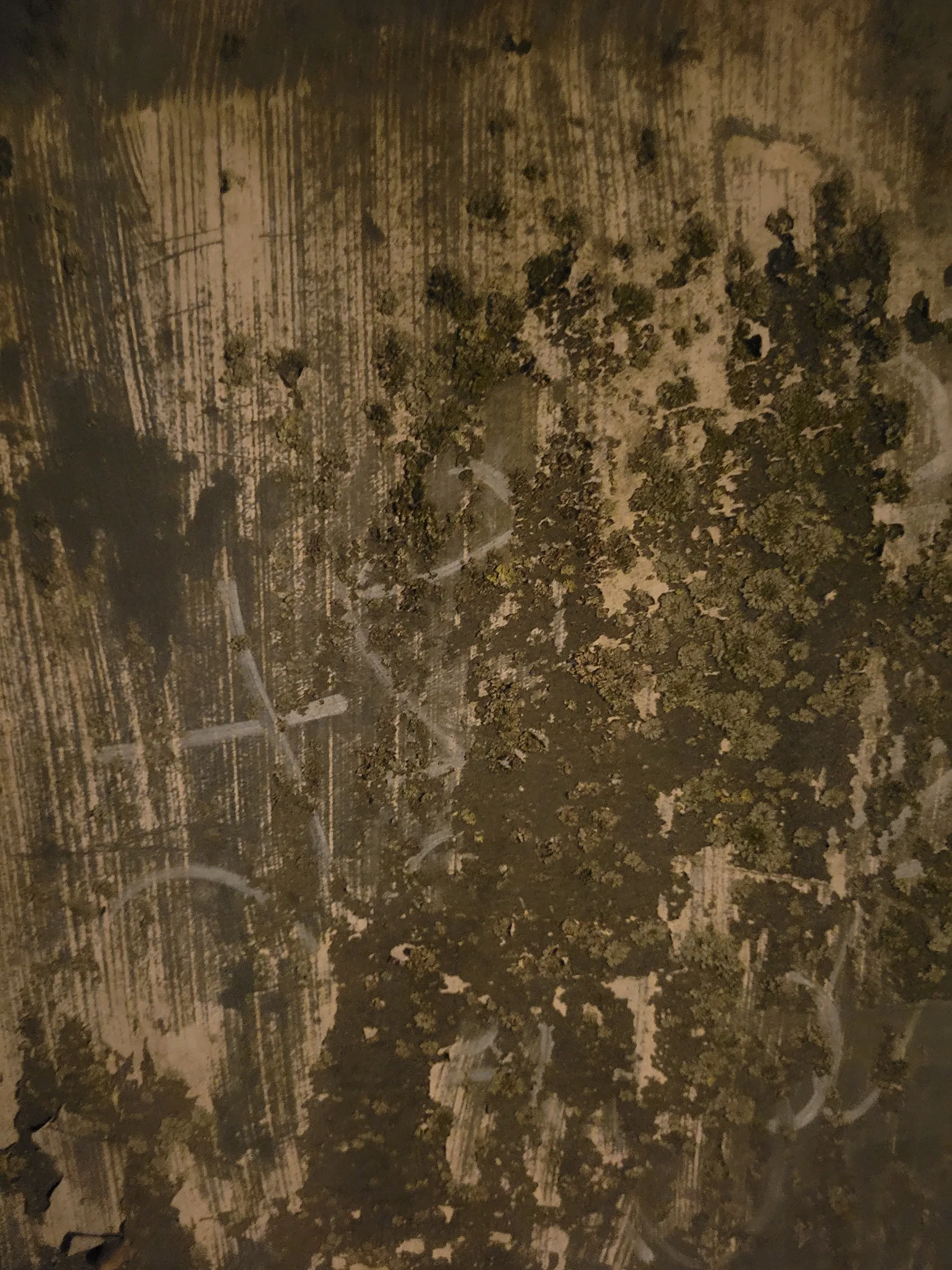 Paint13 texture