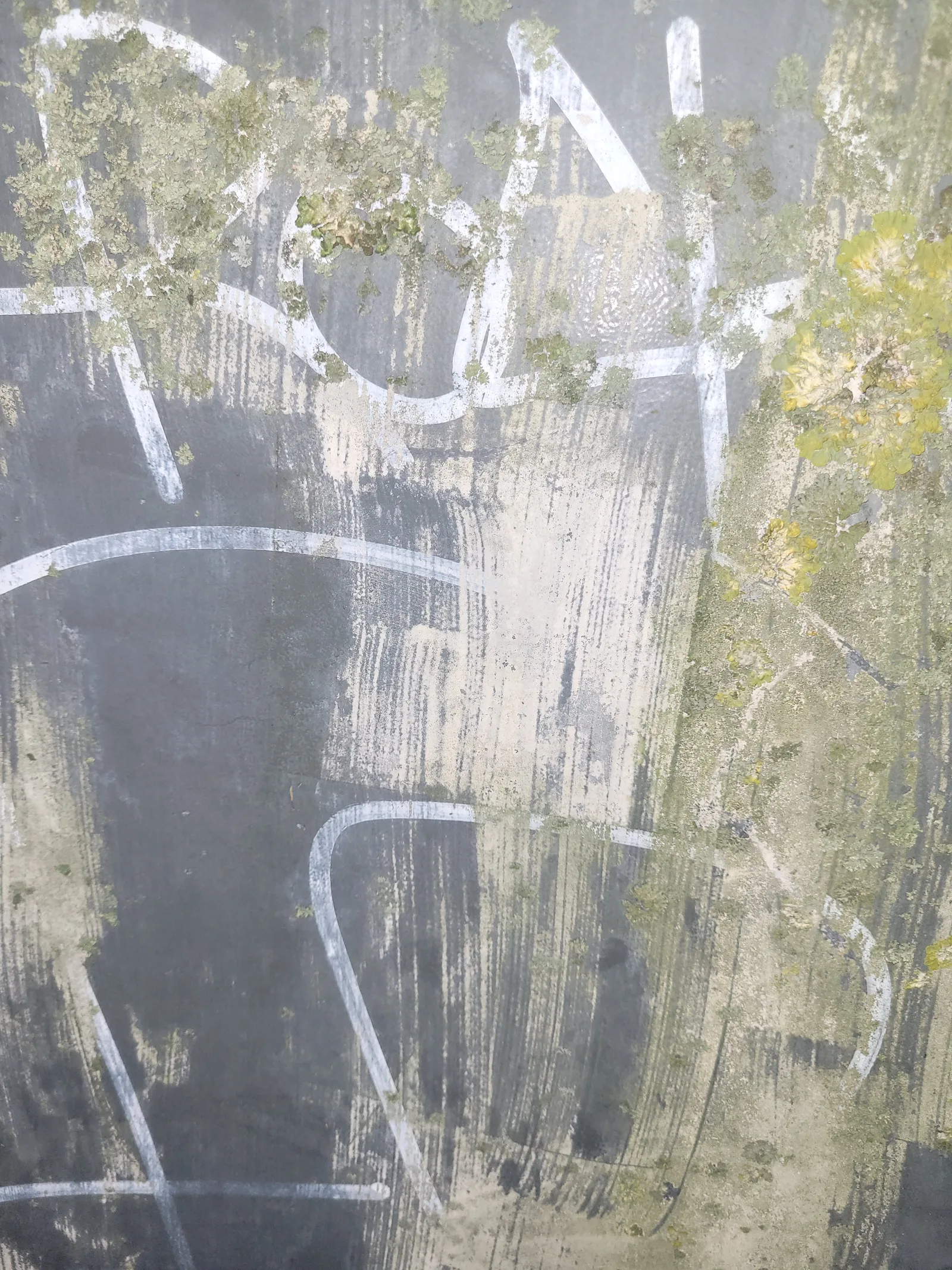 Paint15 texture