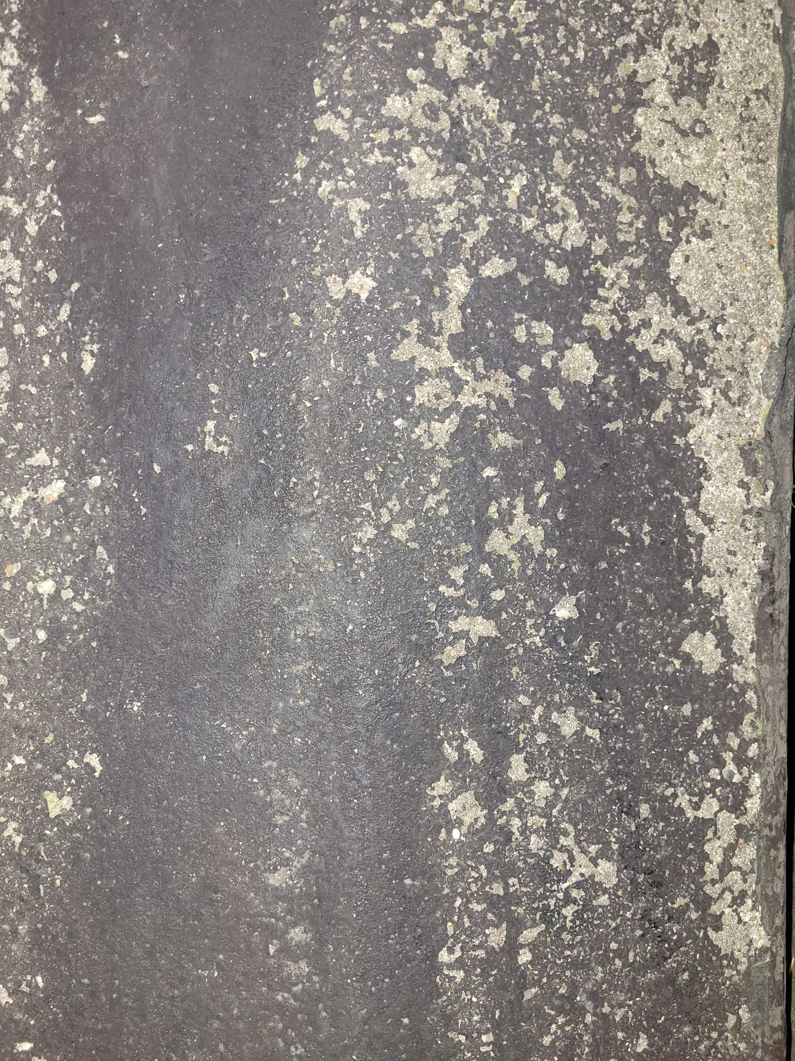 Paint16 texture