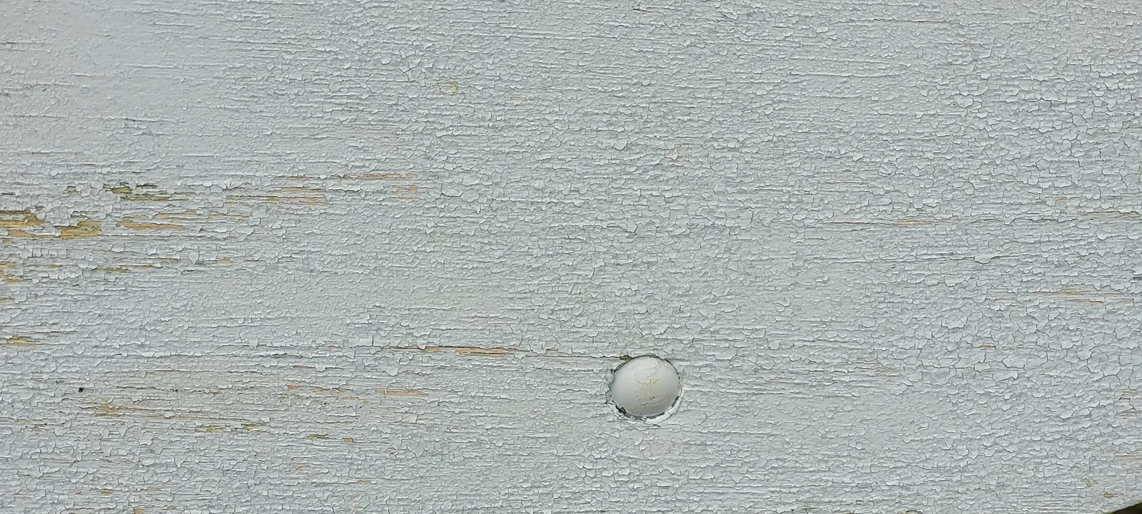 Paint37 texture