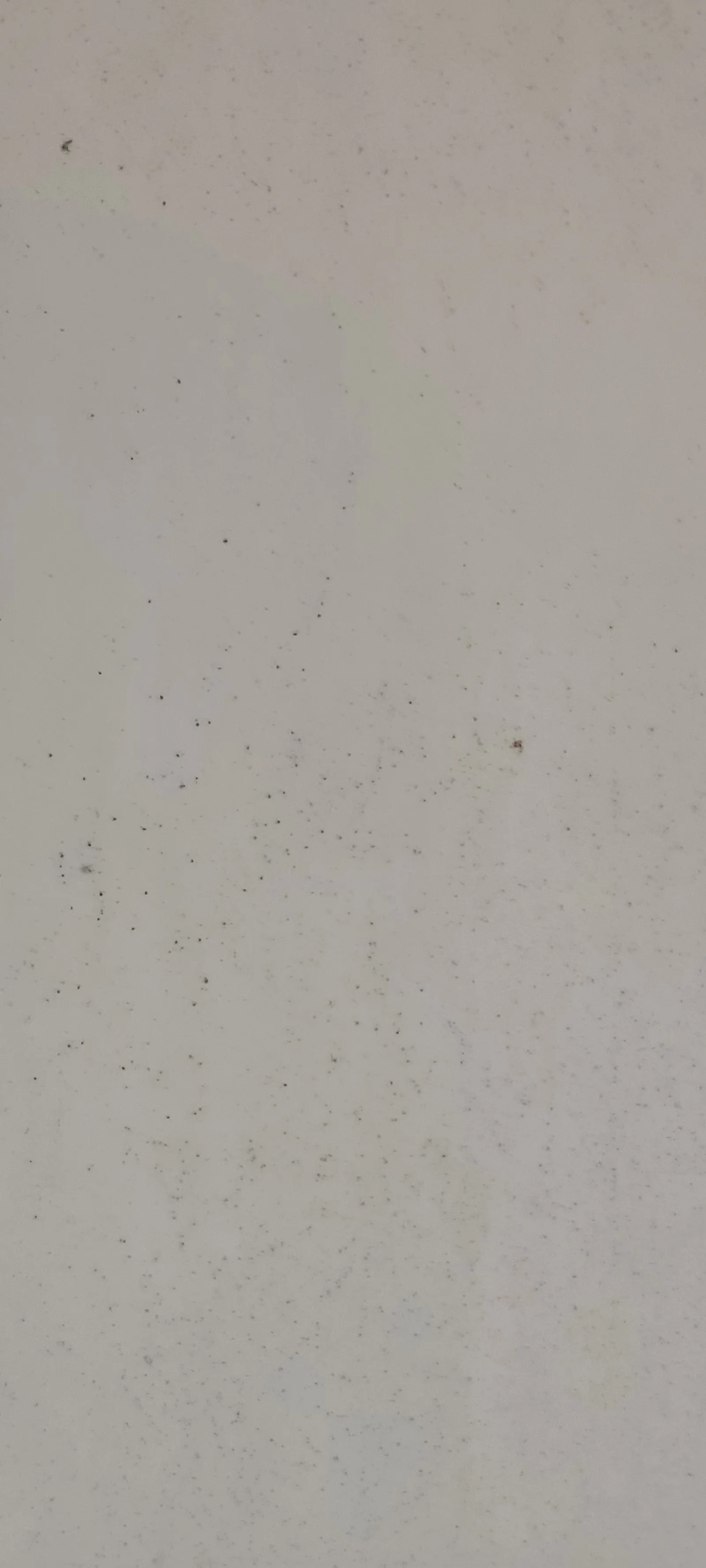 Paint39 texture