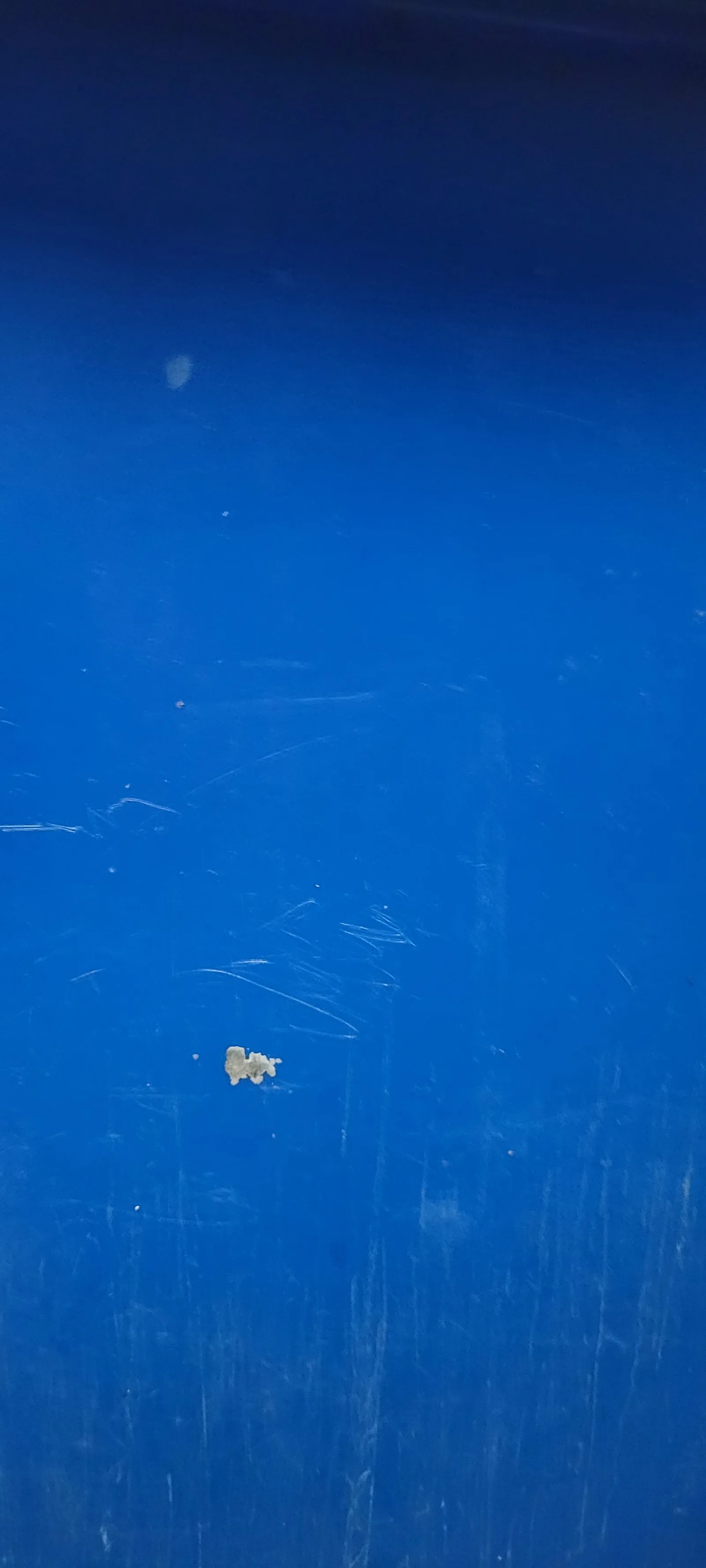 Paint40 texture