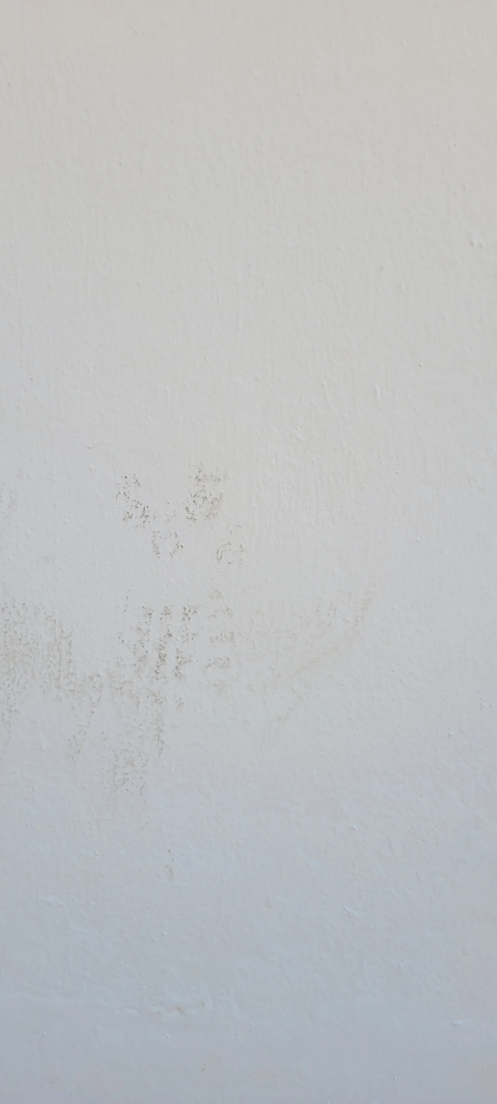 Paint45 texture