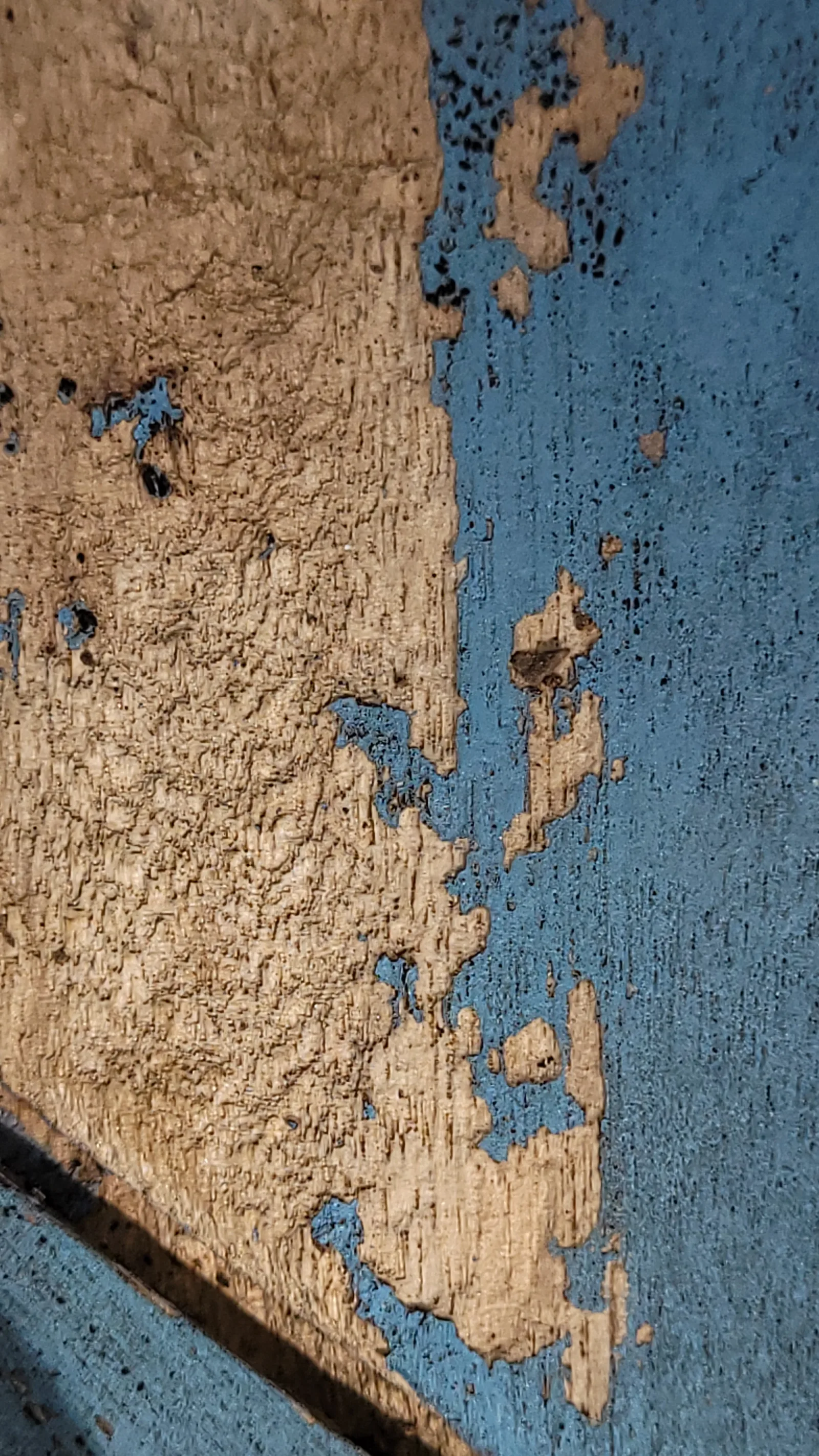 Paint66 texture
