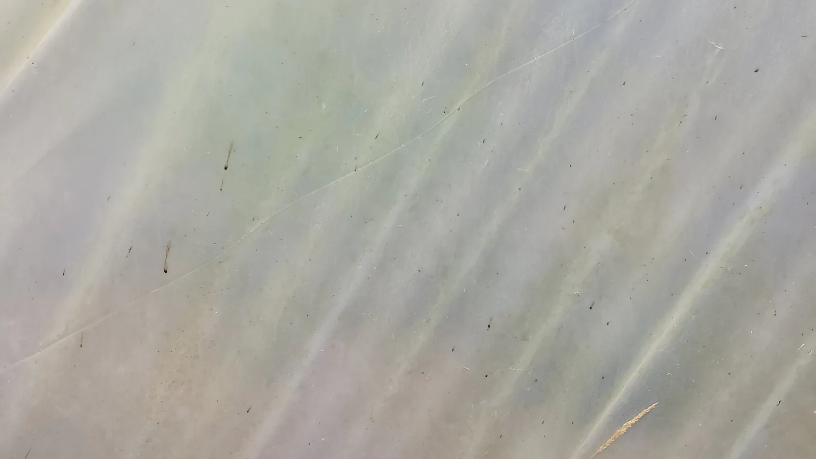 Plastic13 texture