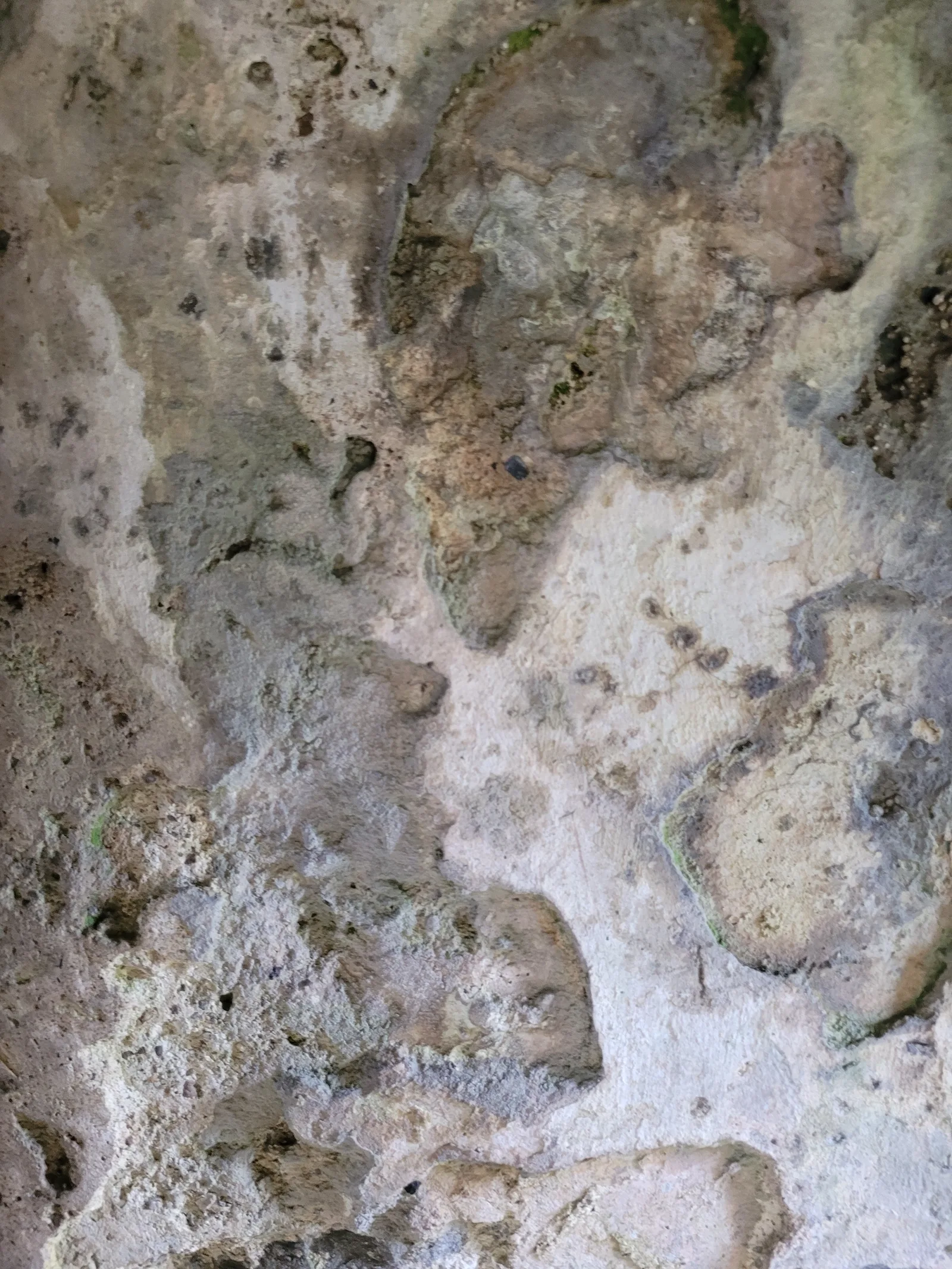 Stone13 texture