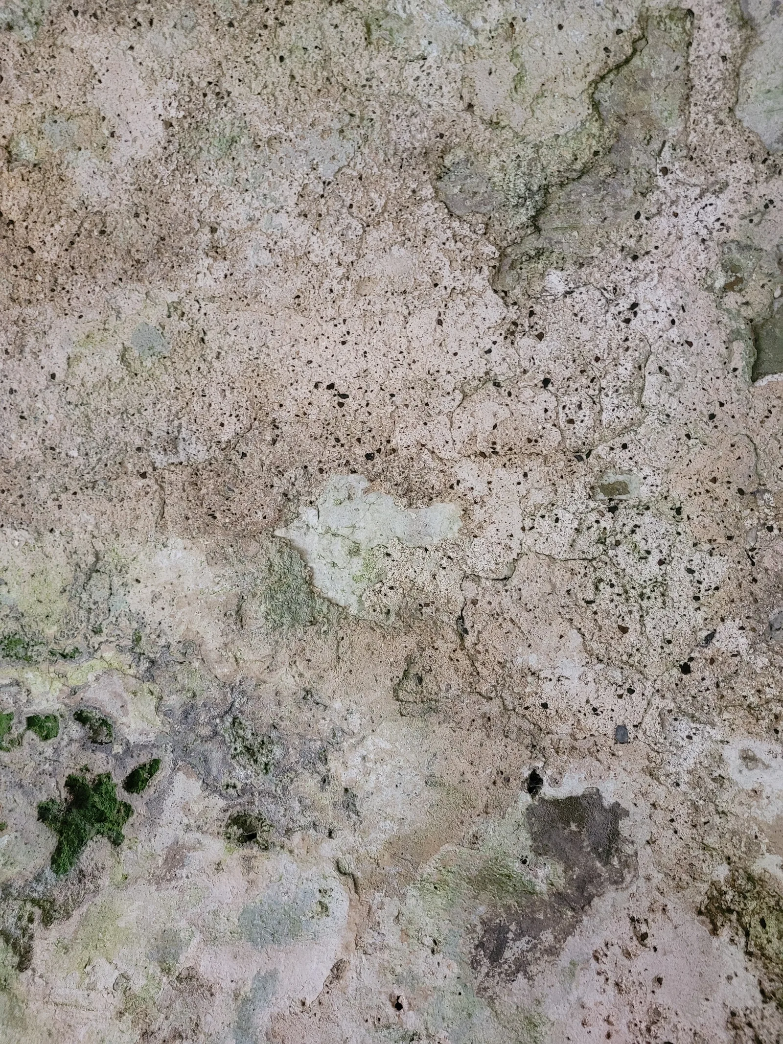 Stone15 texture