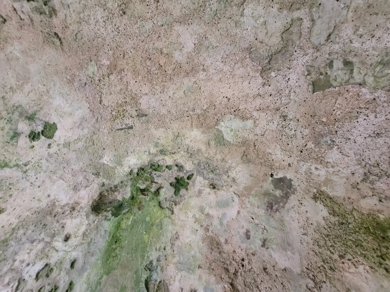 Stone16 texture