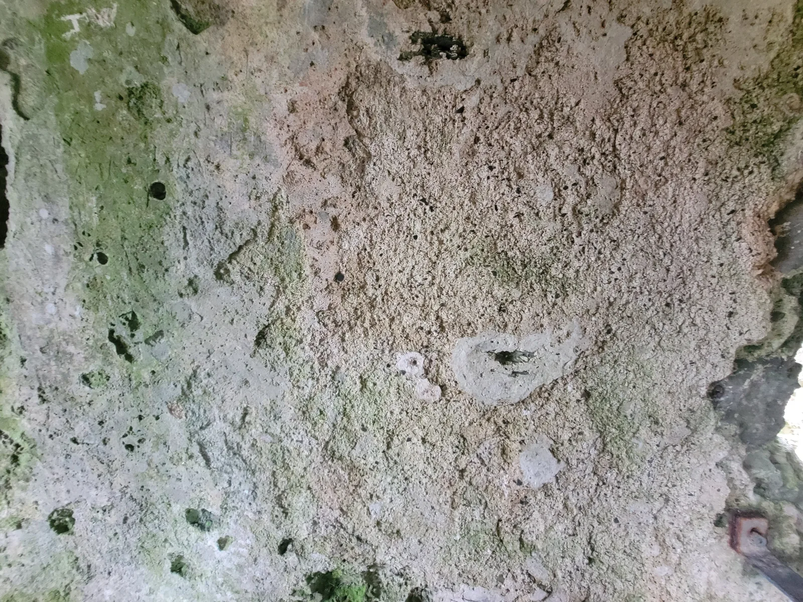 Stone17 texture
