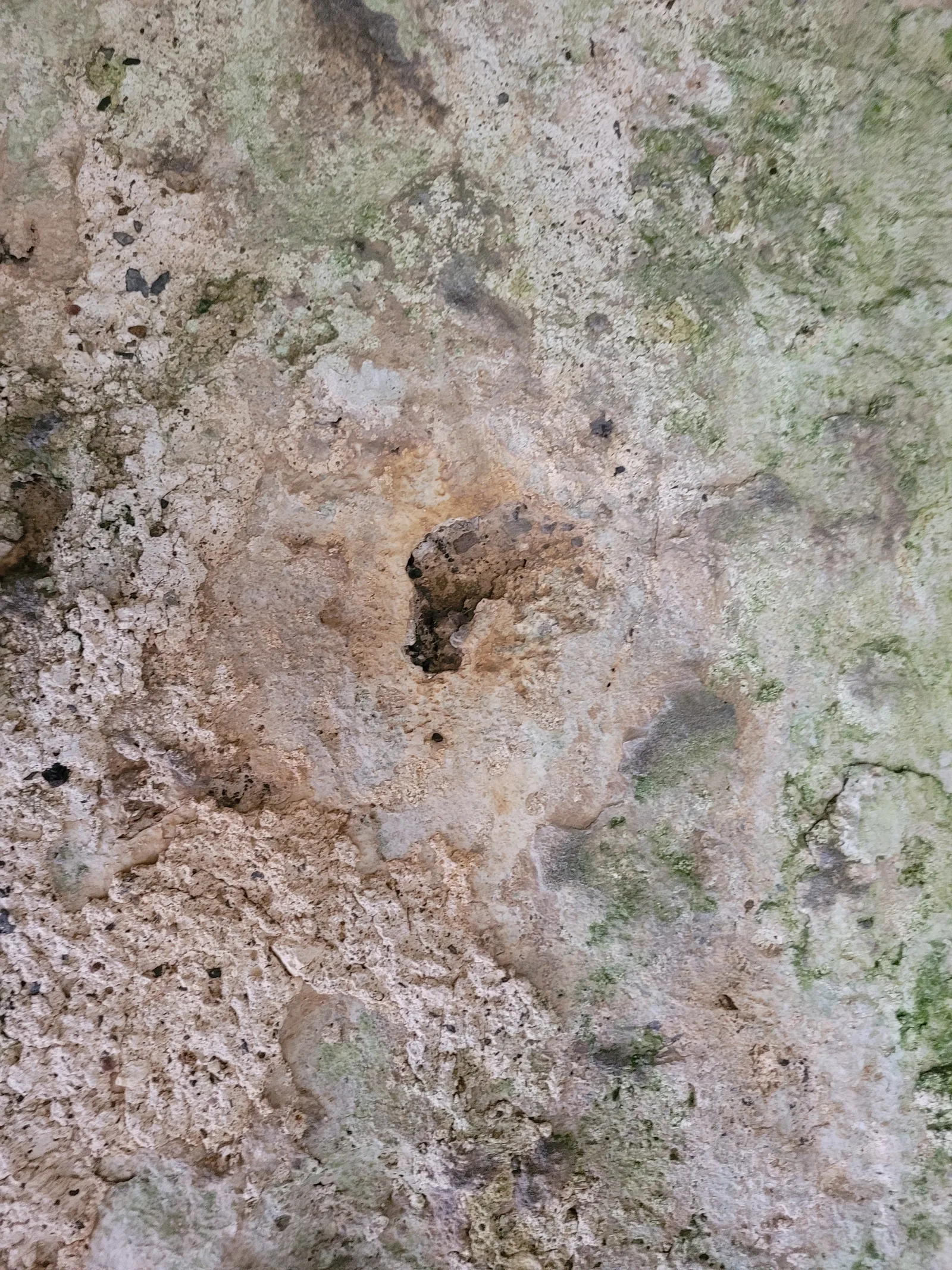 Stone18 texture