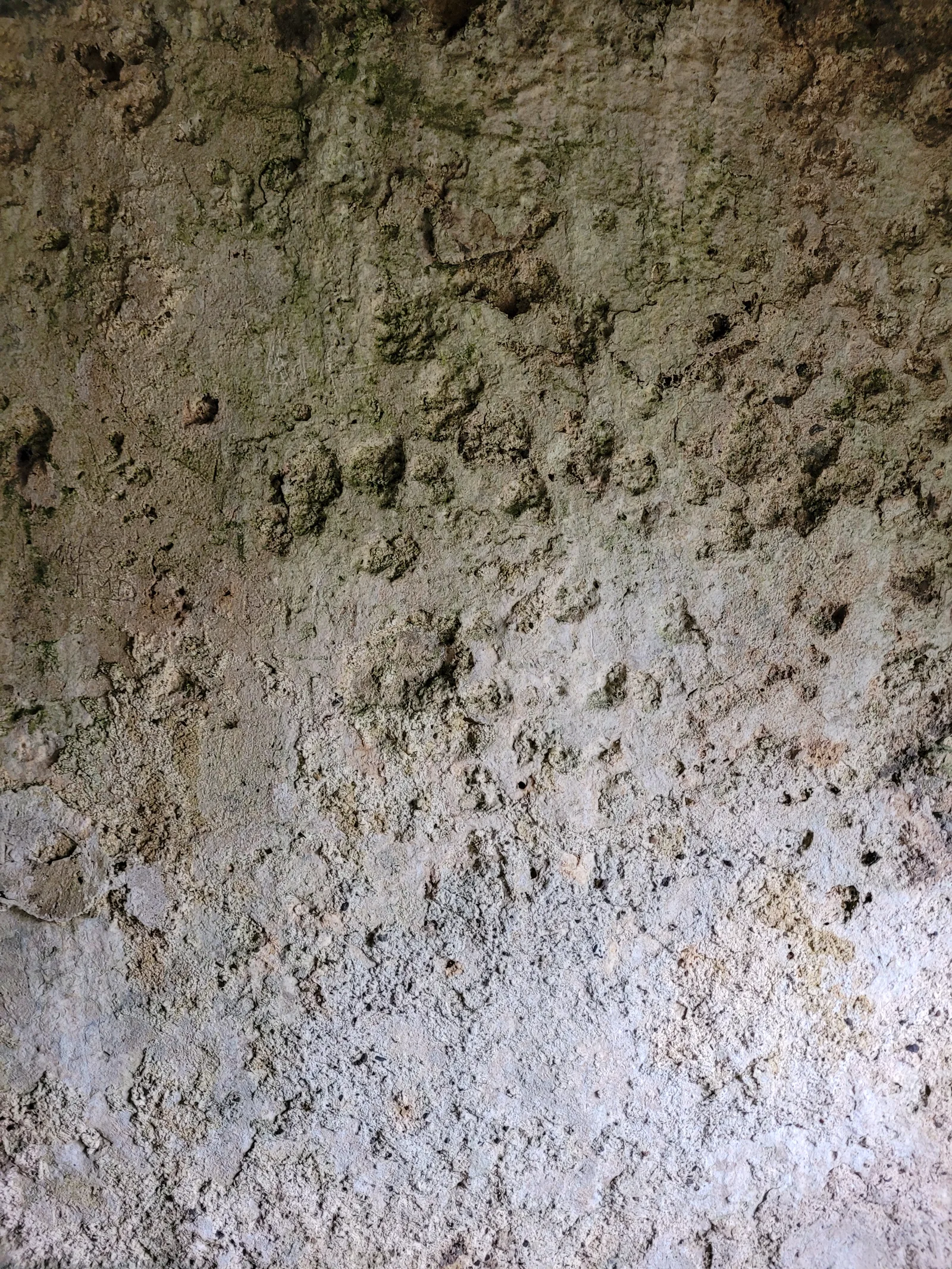 Stone19 texture
