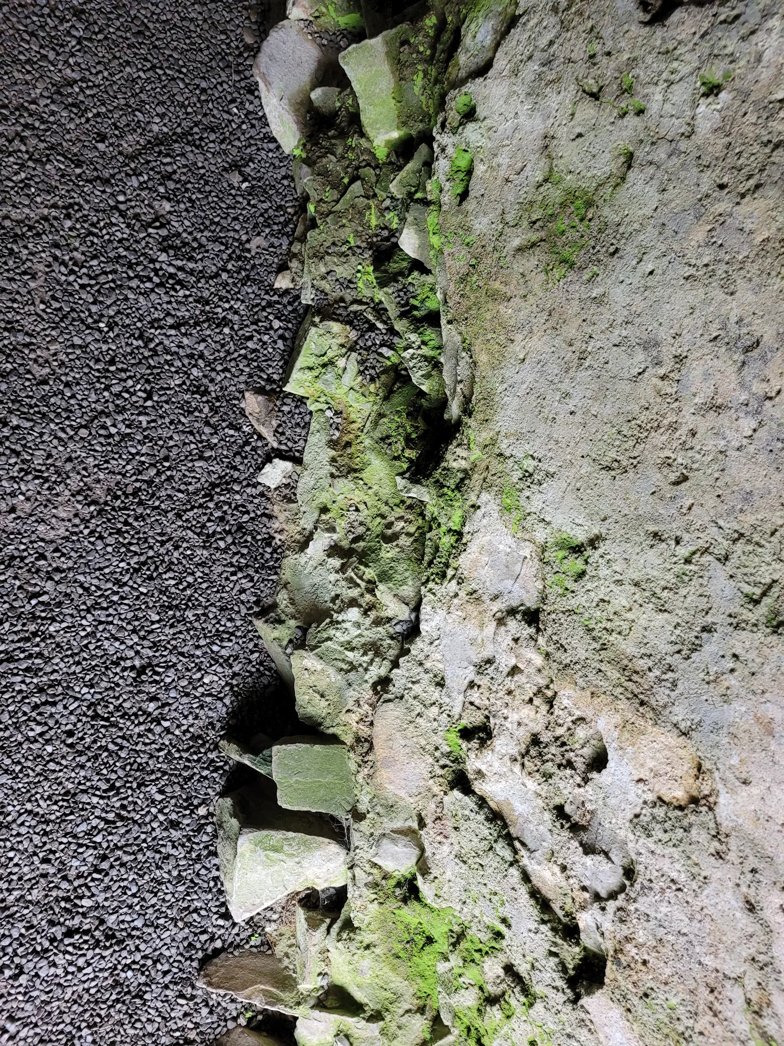 Stone20 texture