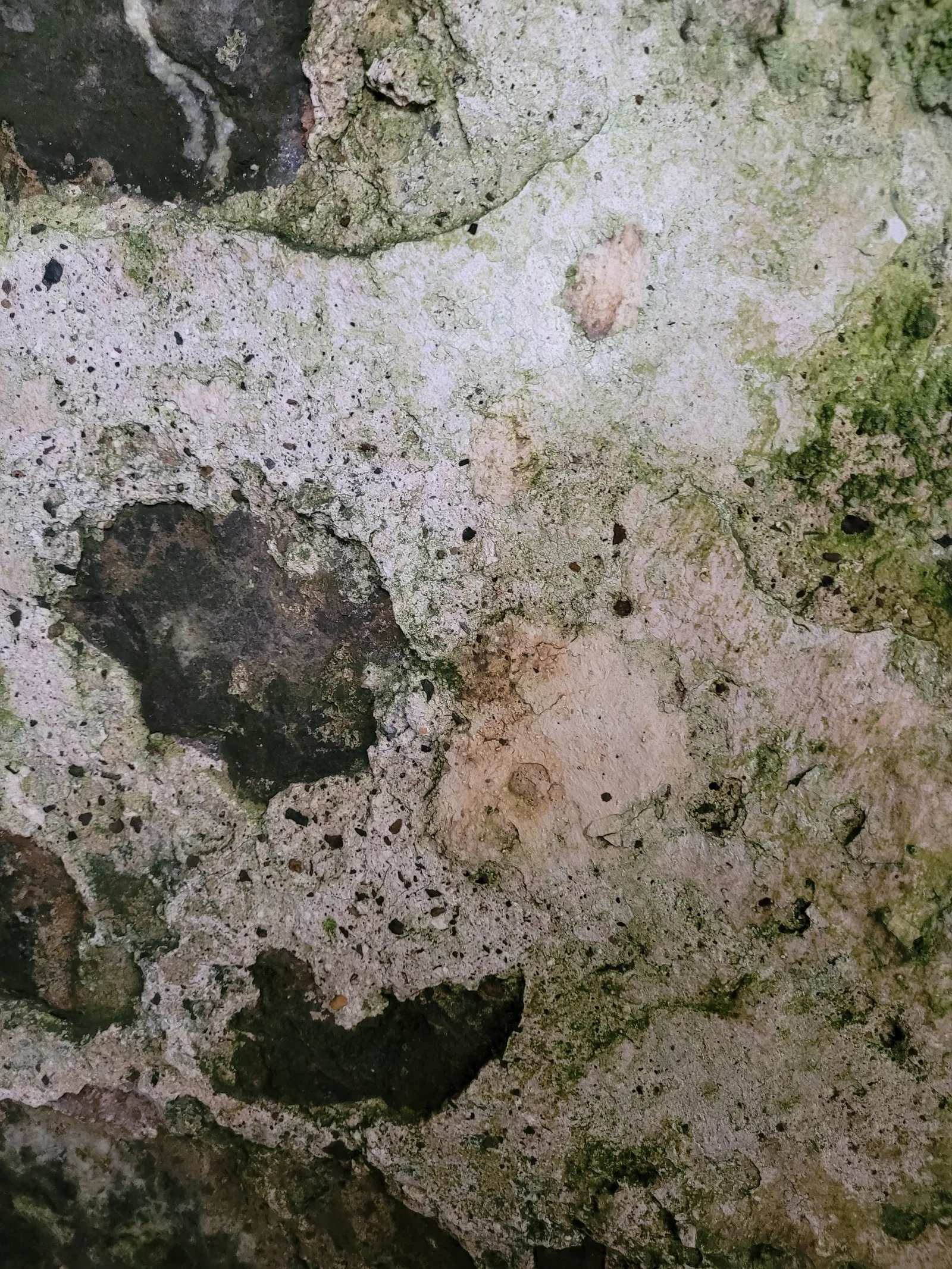 Stone22 texture