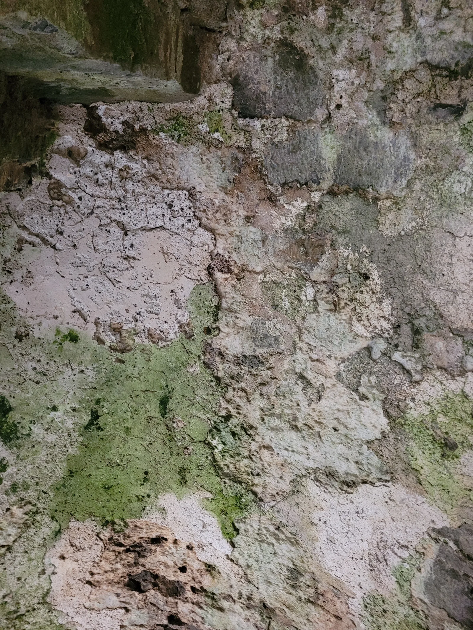 Stone23 texture