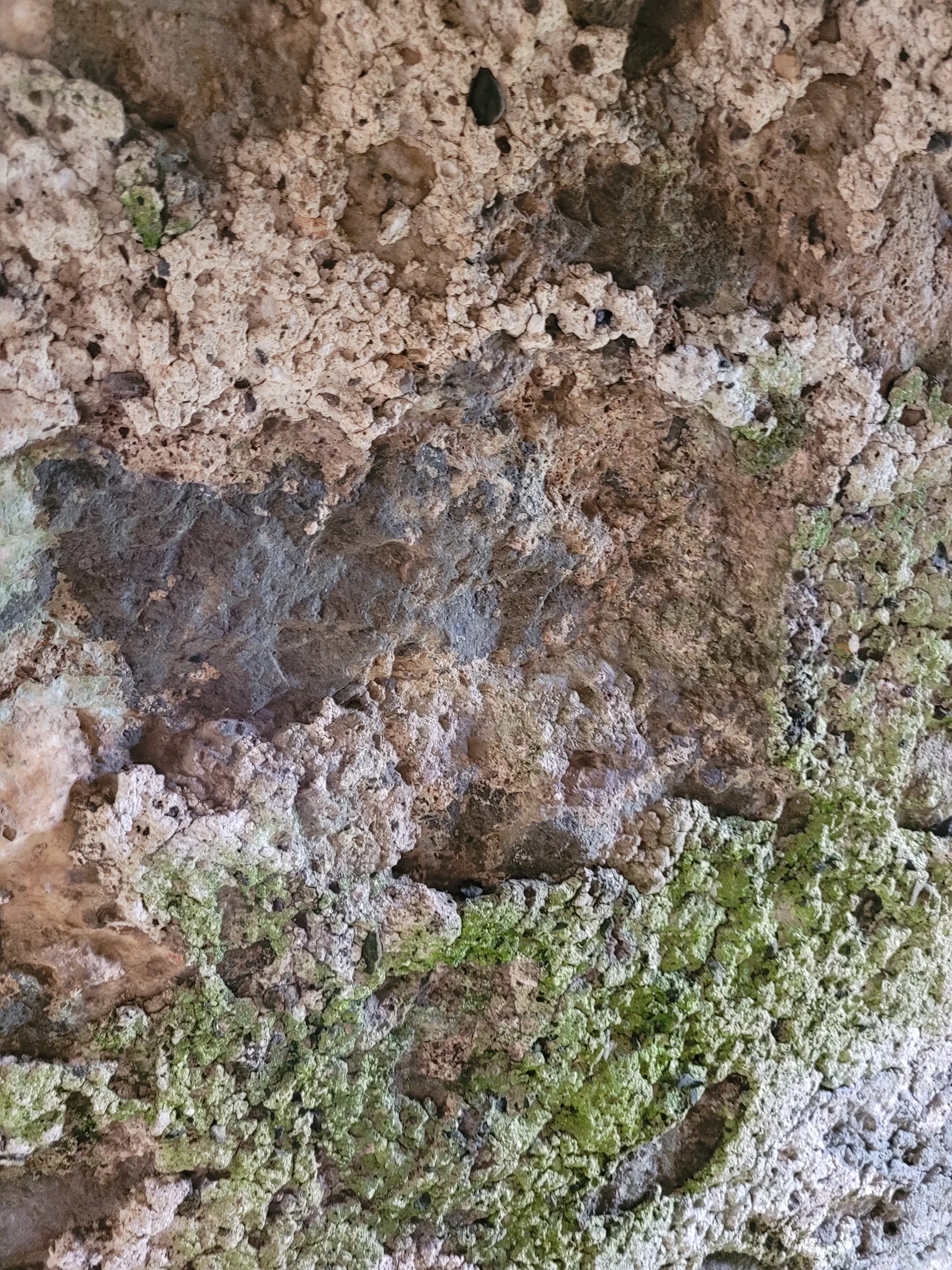 Stone25 texture