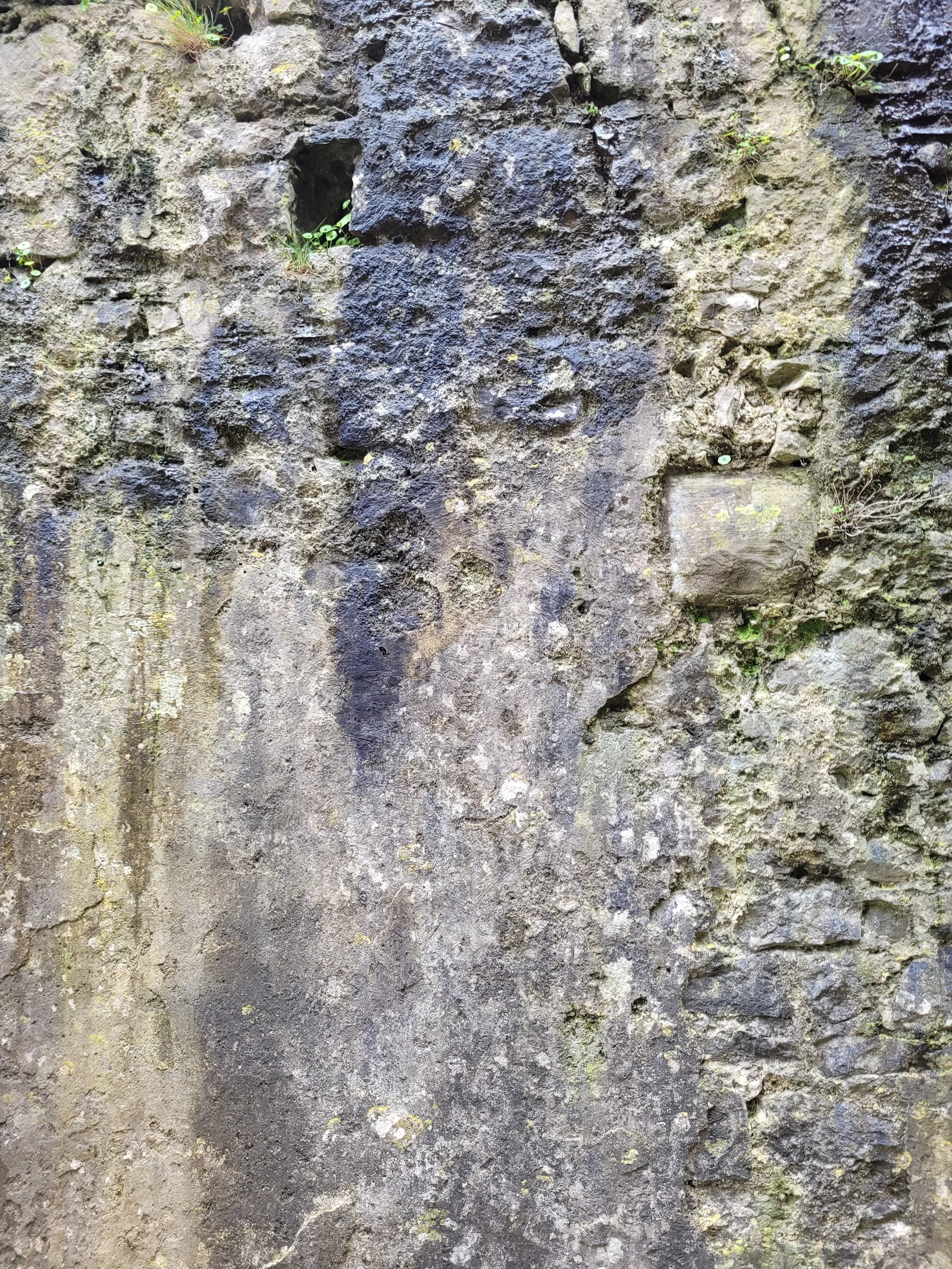 Stone26 texture