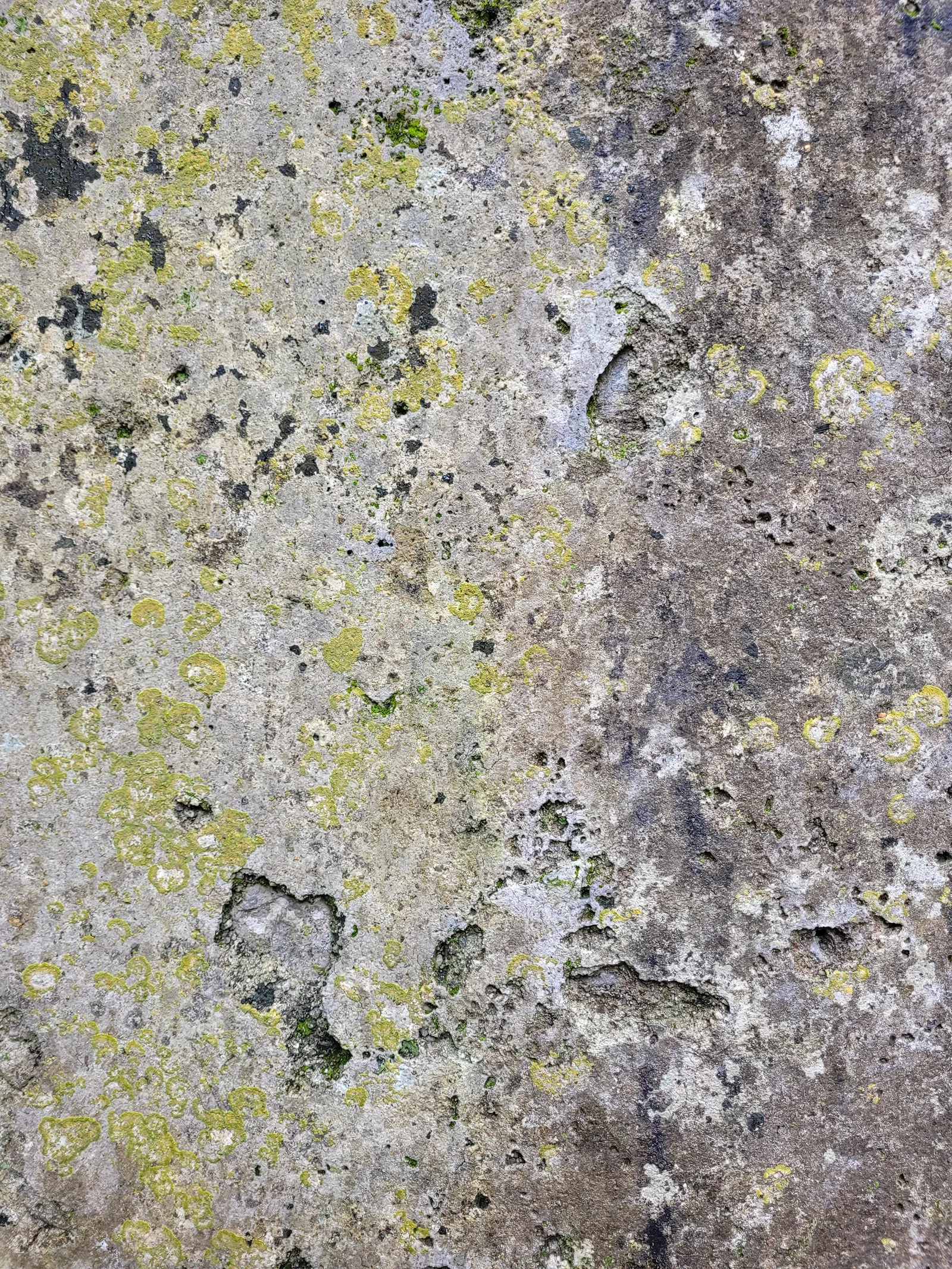 Stone27 texture