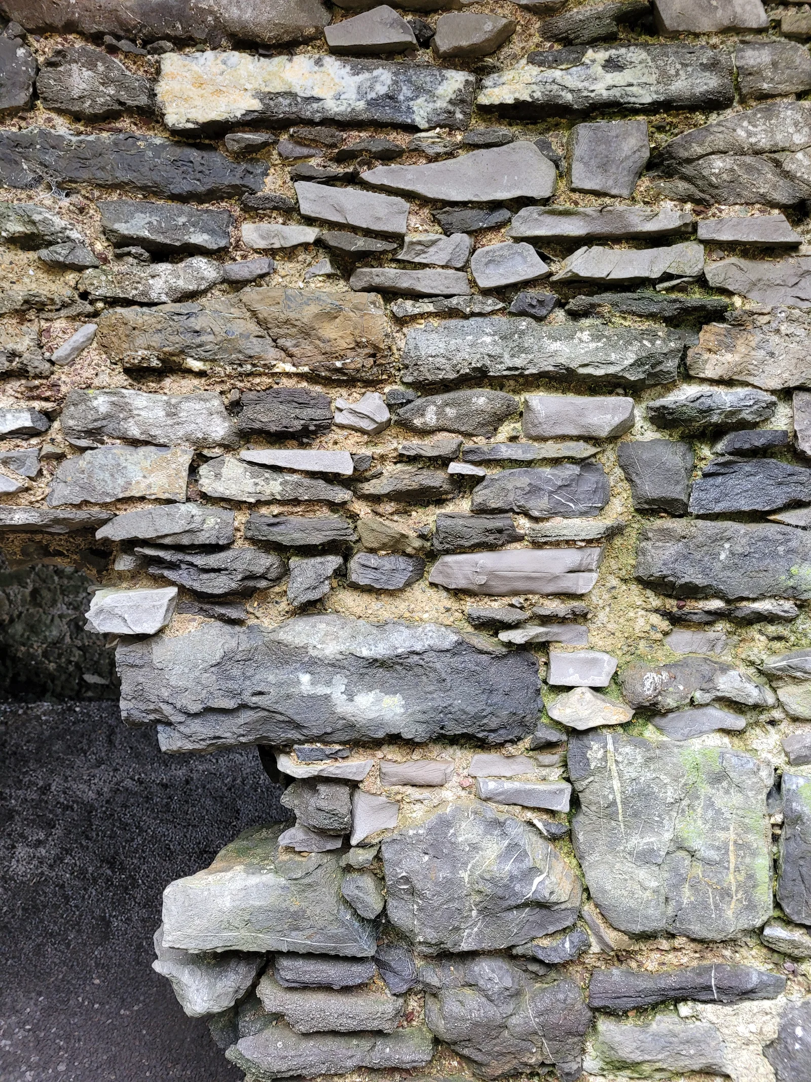 Stone29 texture