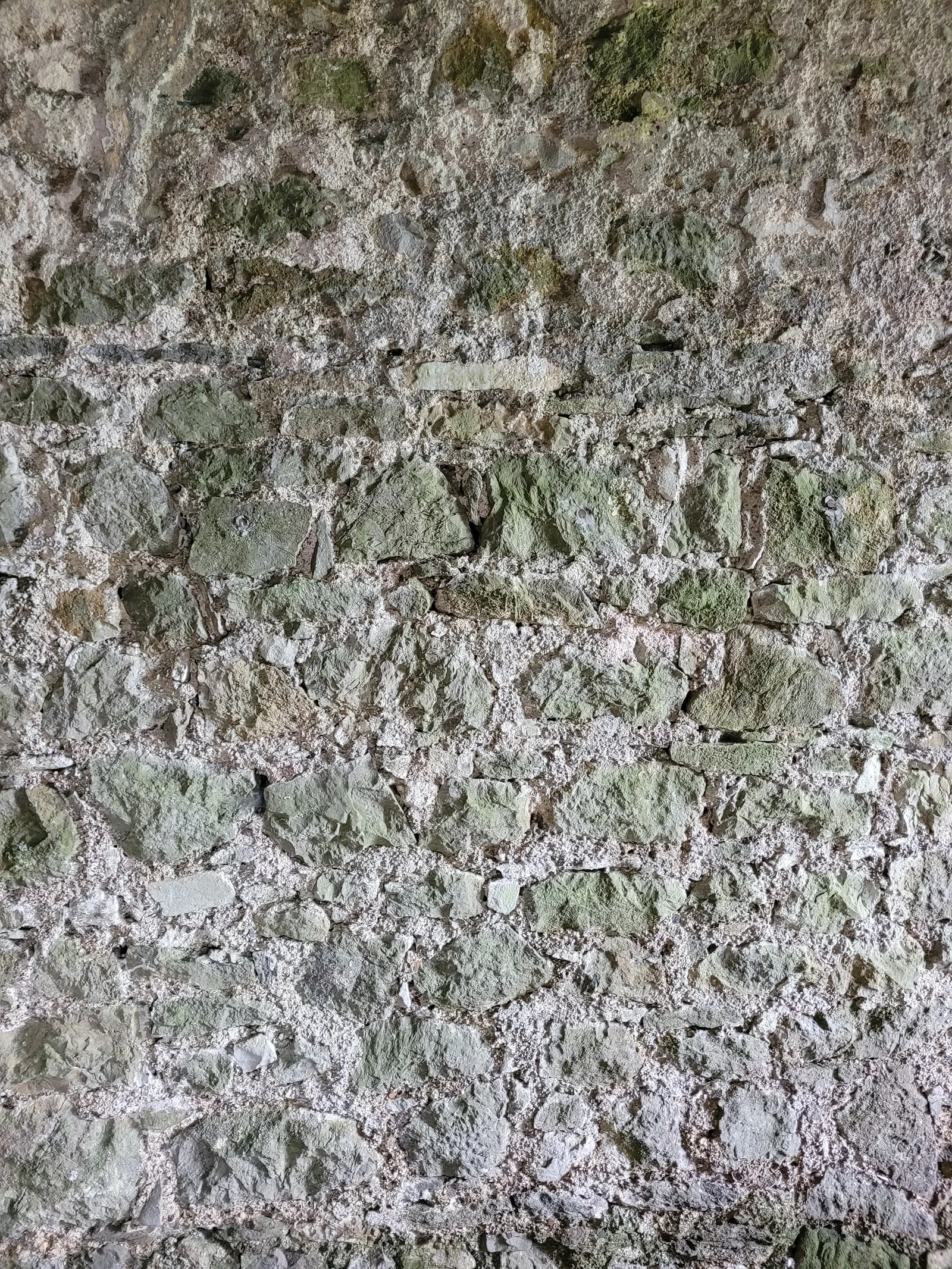 Stone31 texture