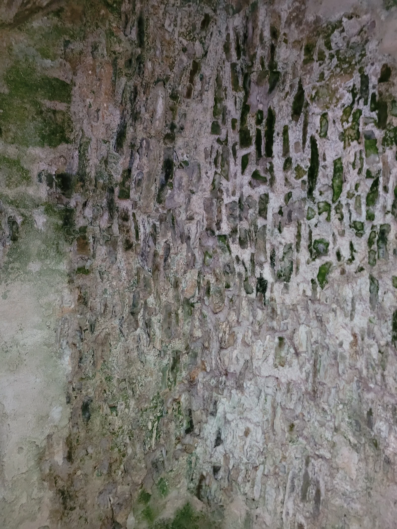 Stone32 texture