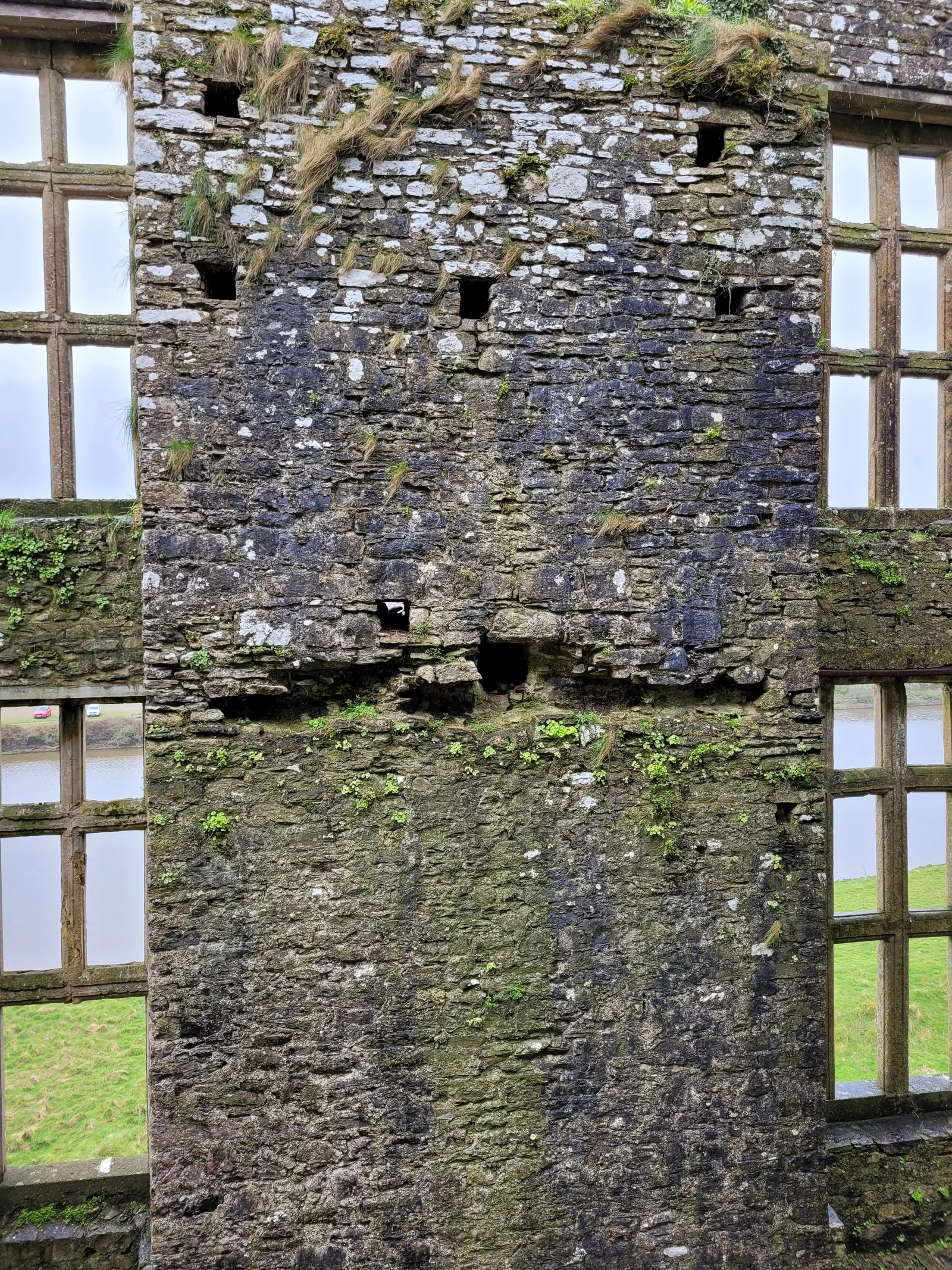 Stone34 texture