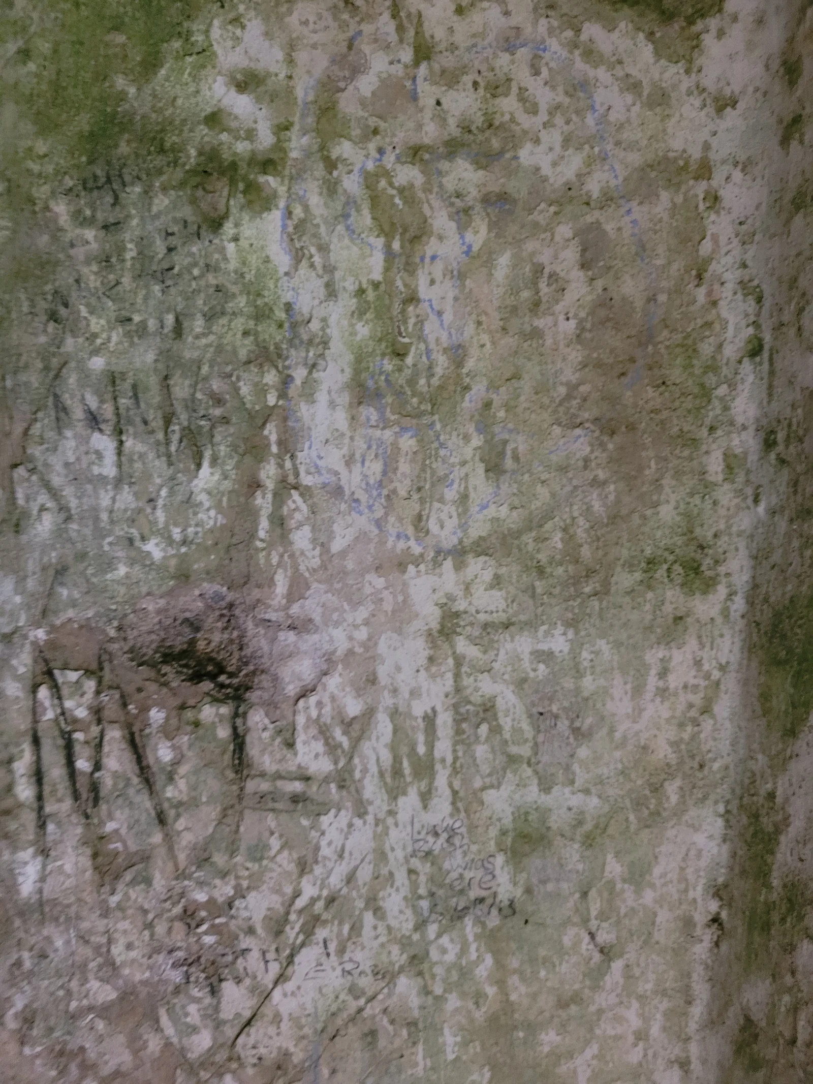 Stone37 texture