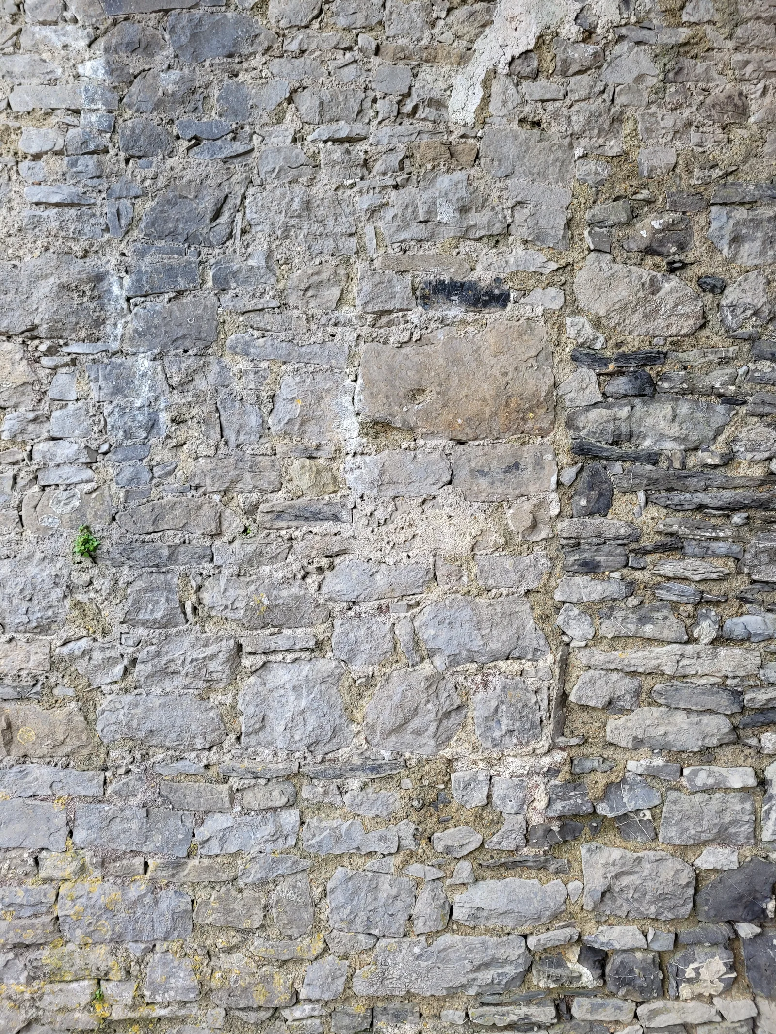 Stone42 texture