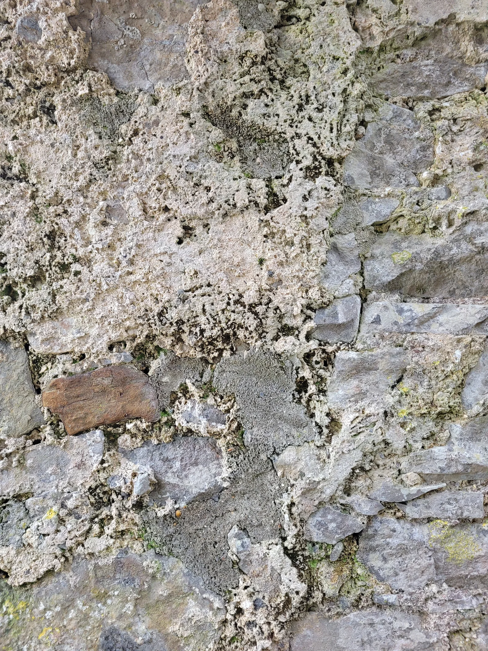Stone43 texture