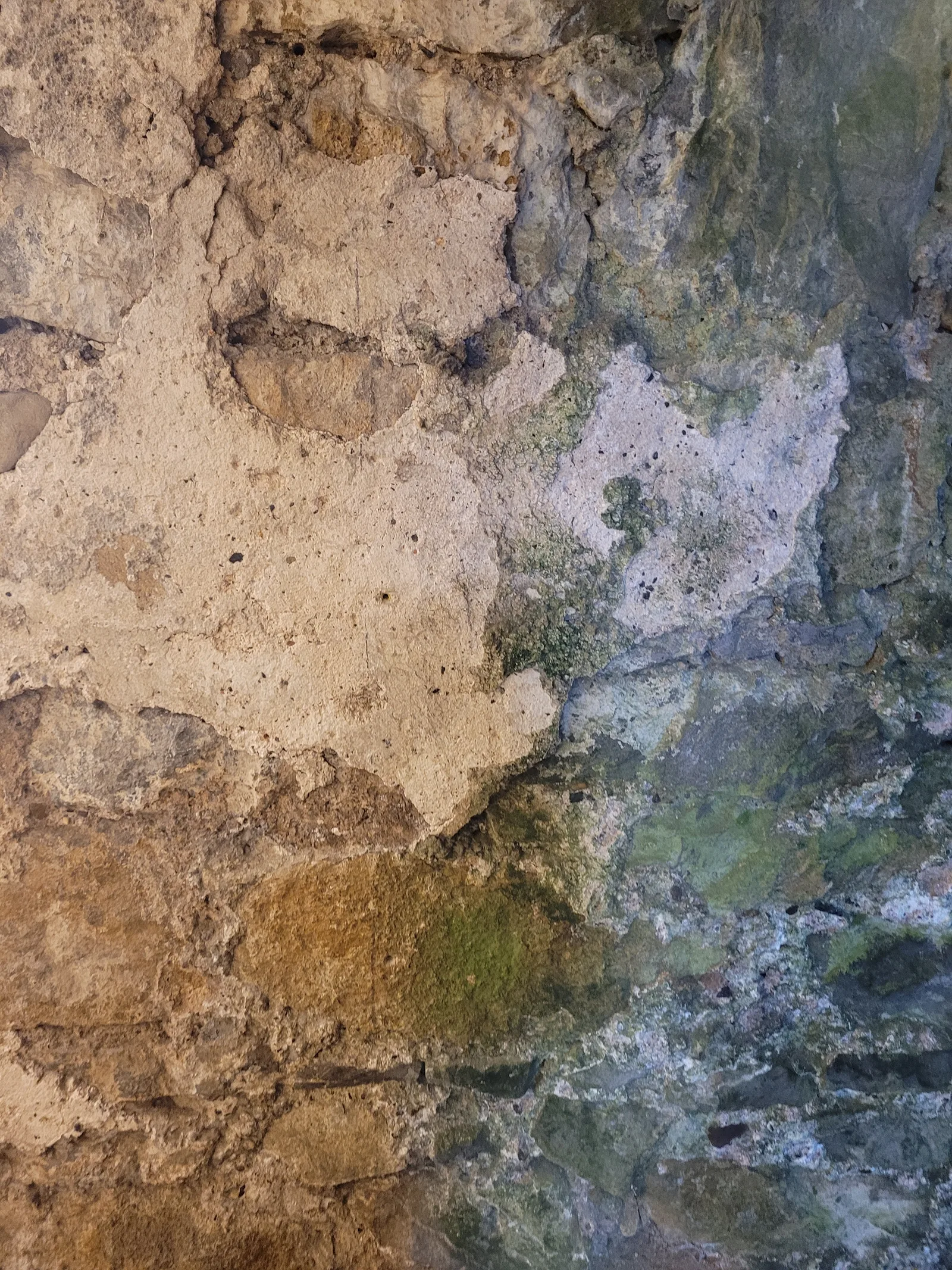Stone44 texture