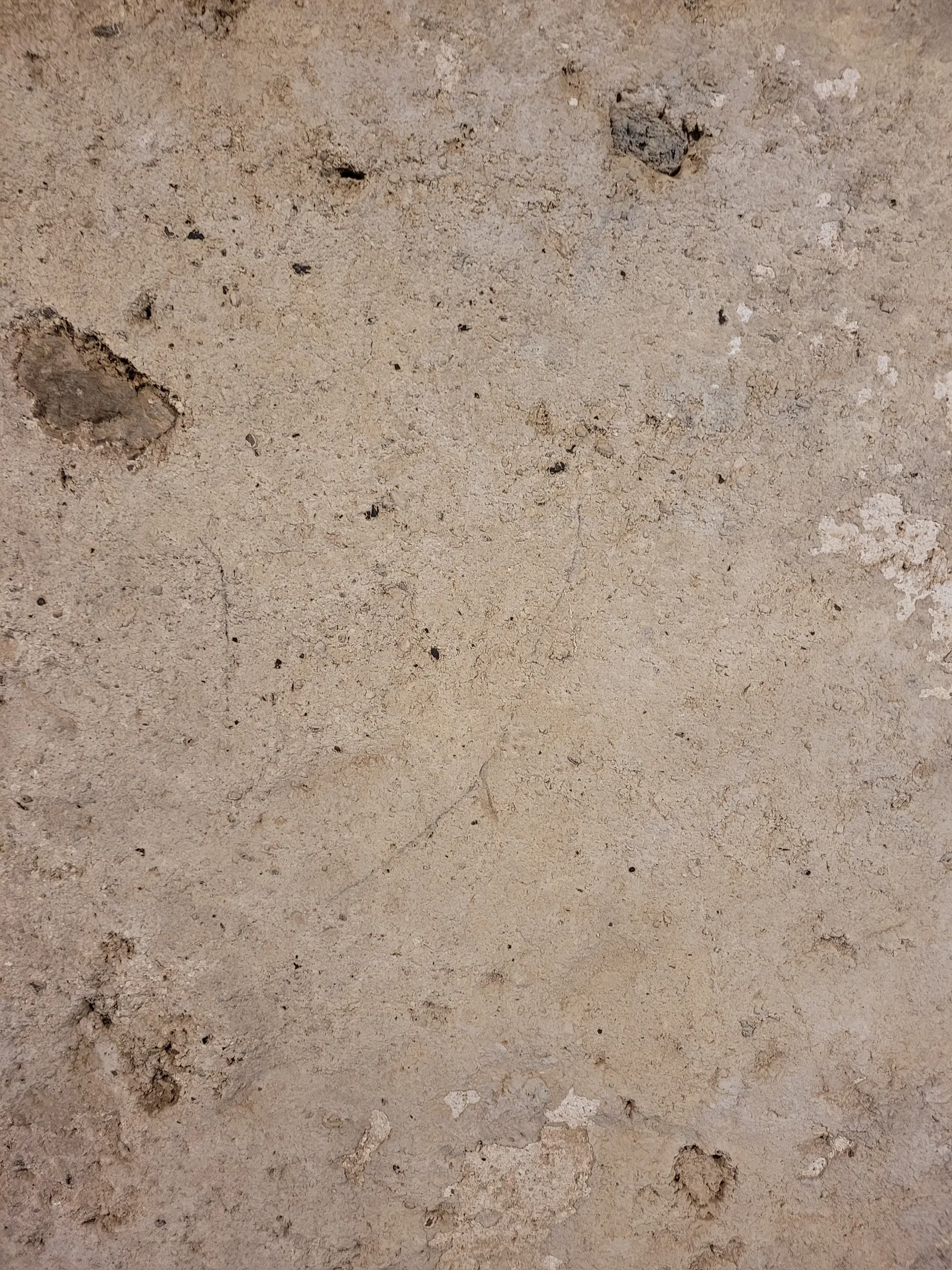 Stone46 texture