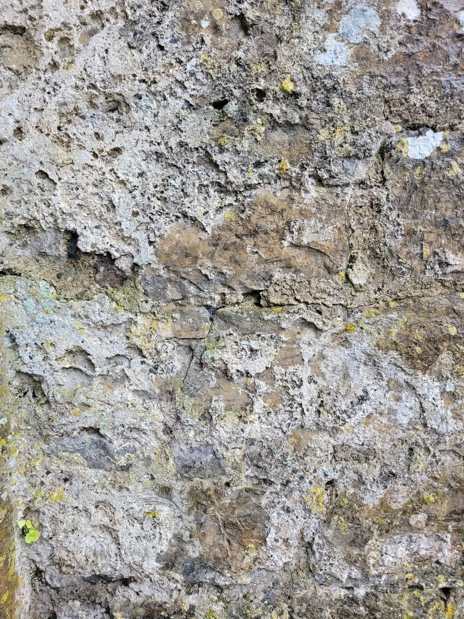 Stone47 texture