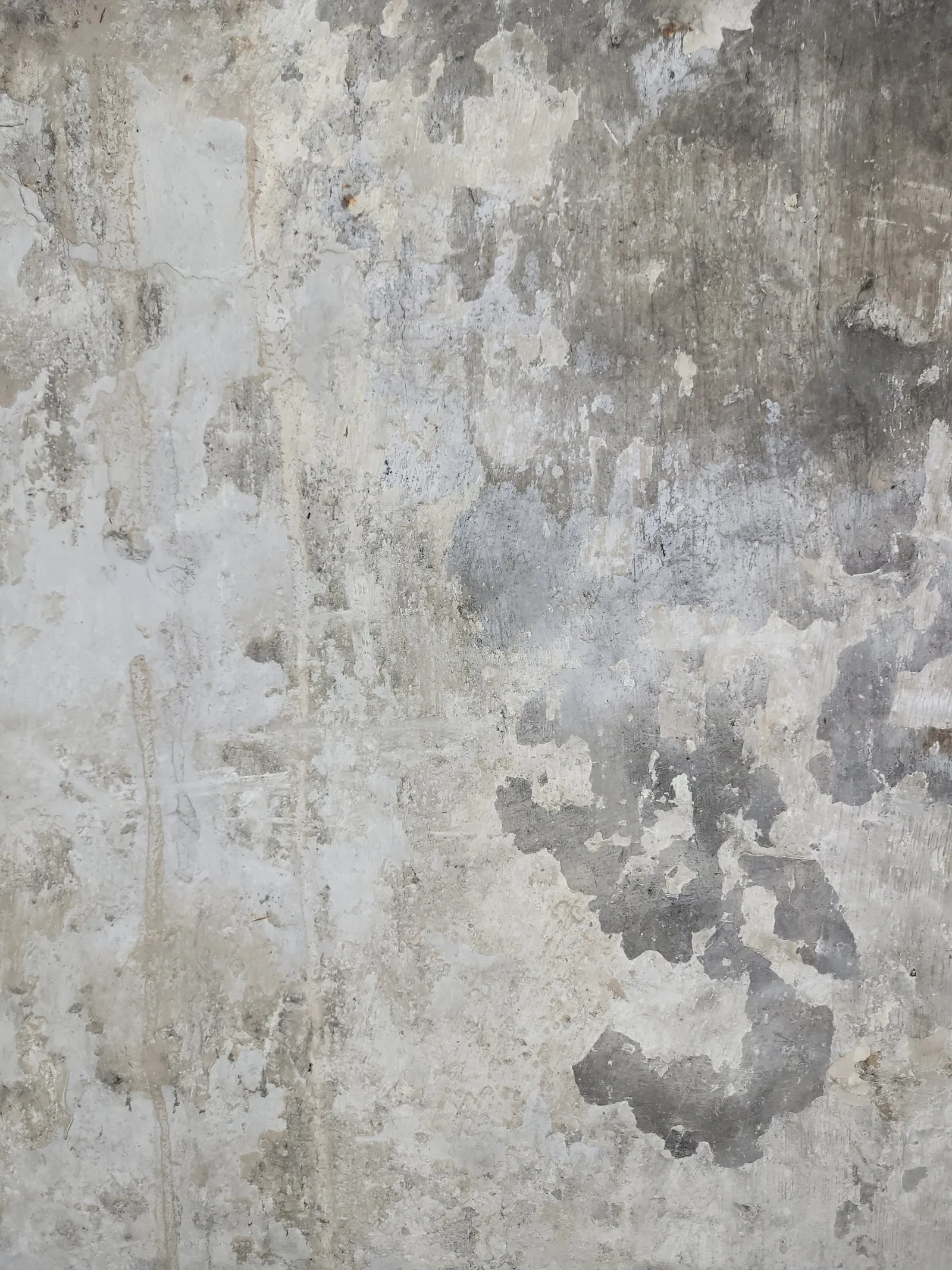 Stone55 texture