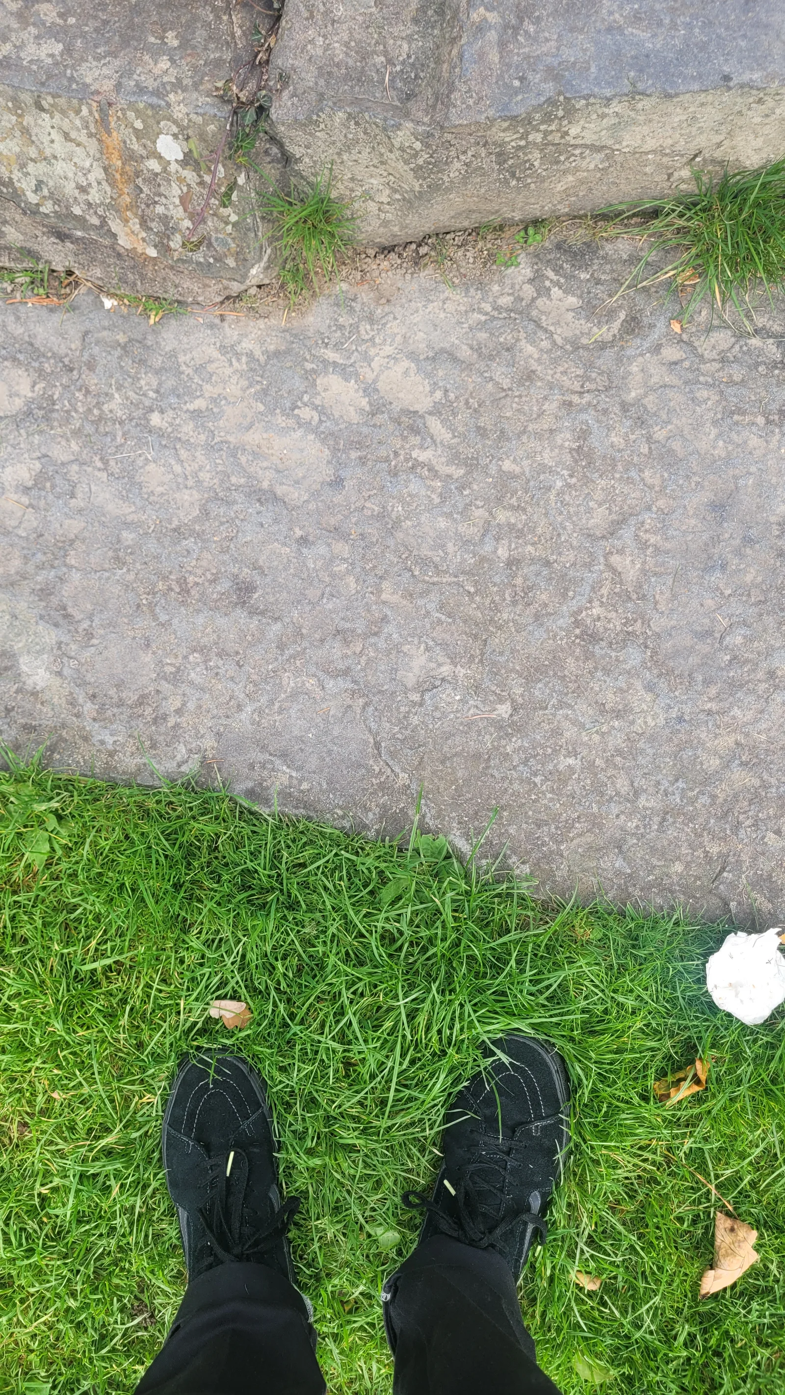 Stone73 texture