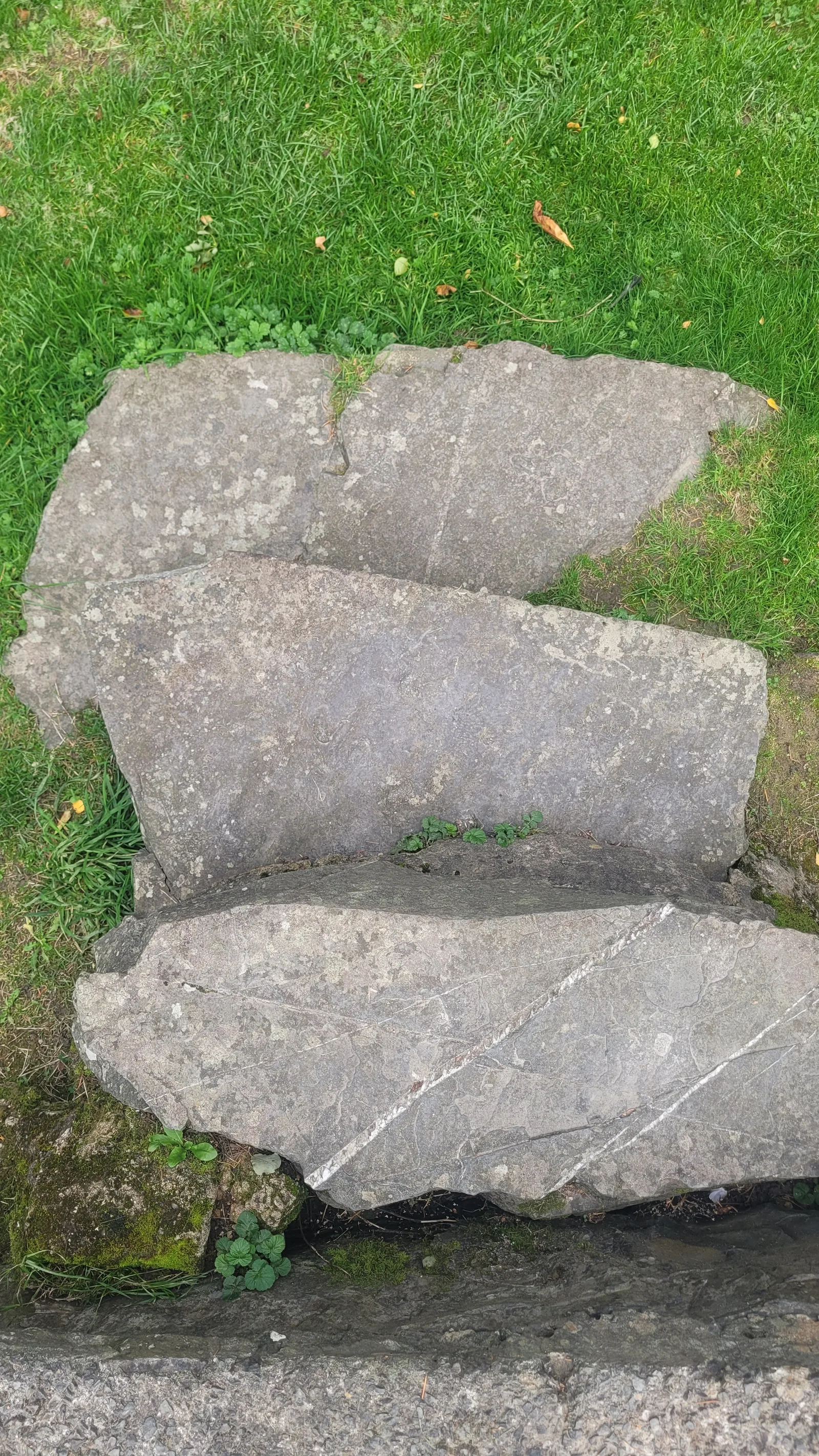 Stone75 texture