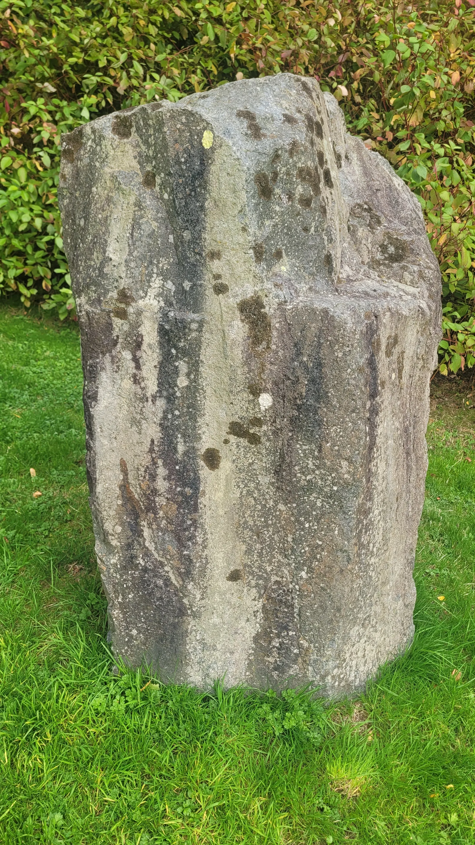 Stone76 texture