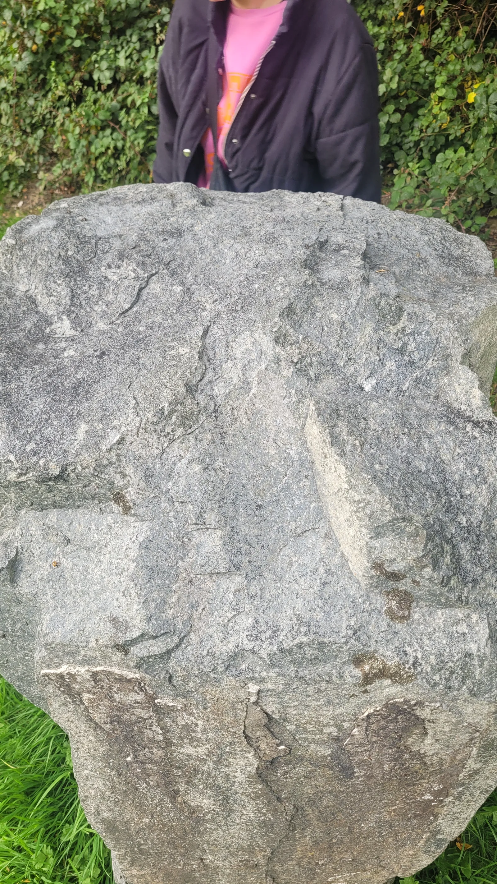 Stone79 texture