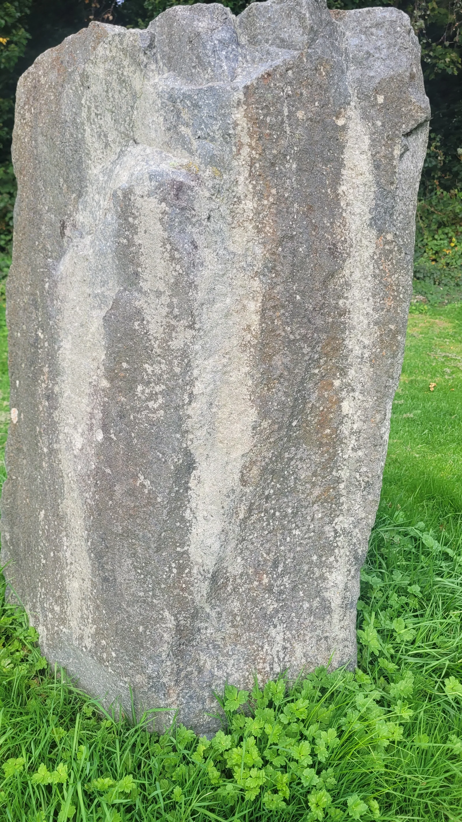Stone82 texture