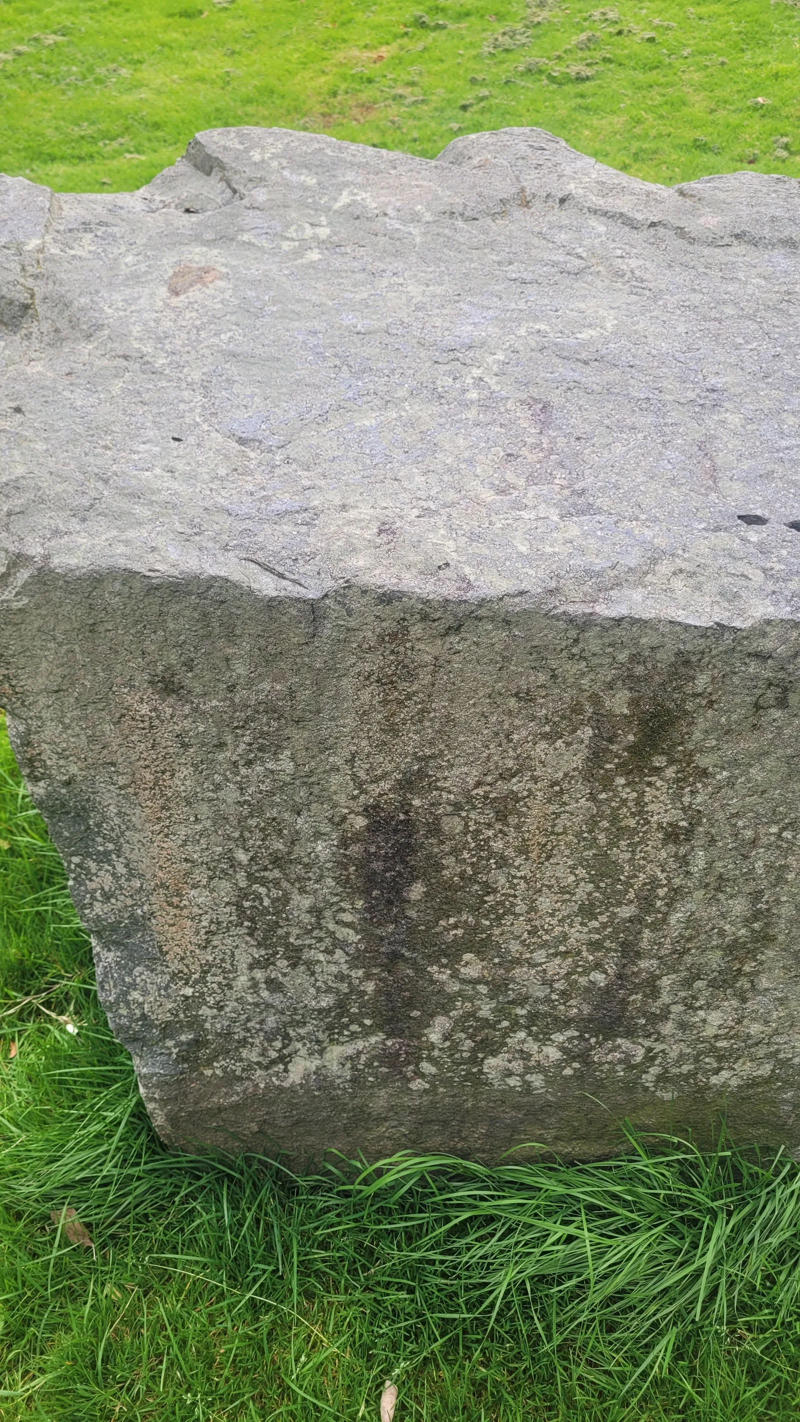 Stone83 texture