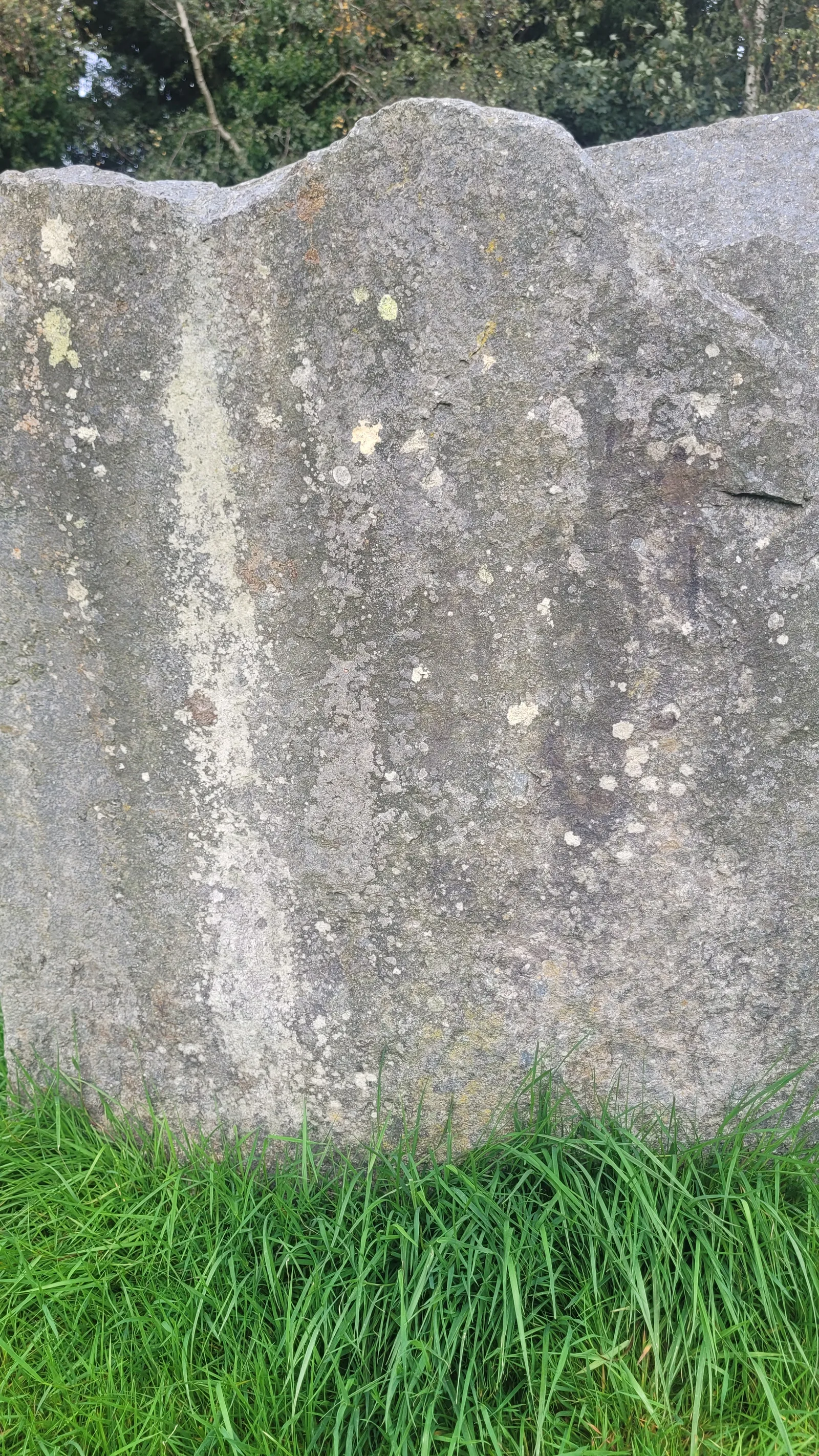Stone84 texture
