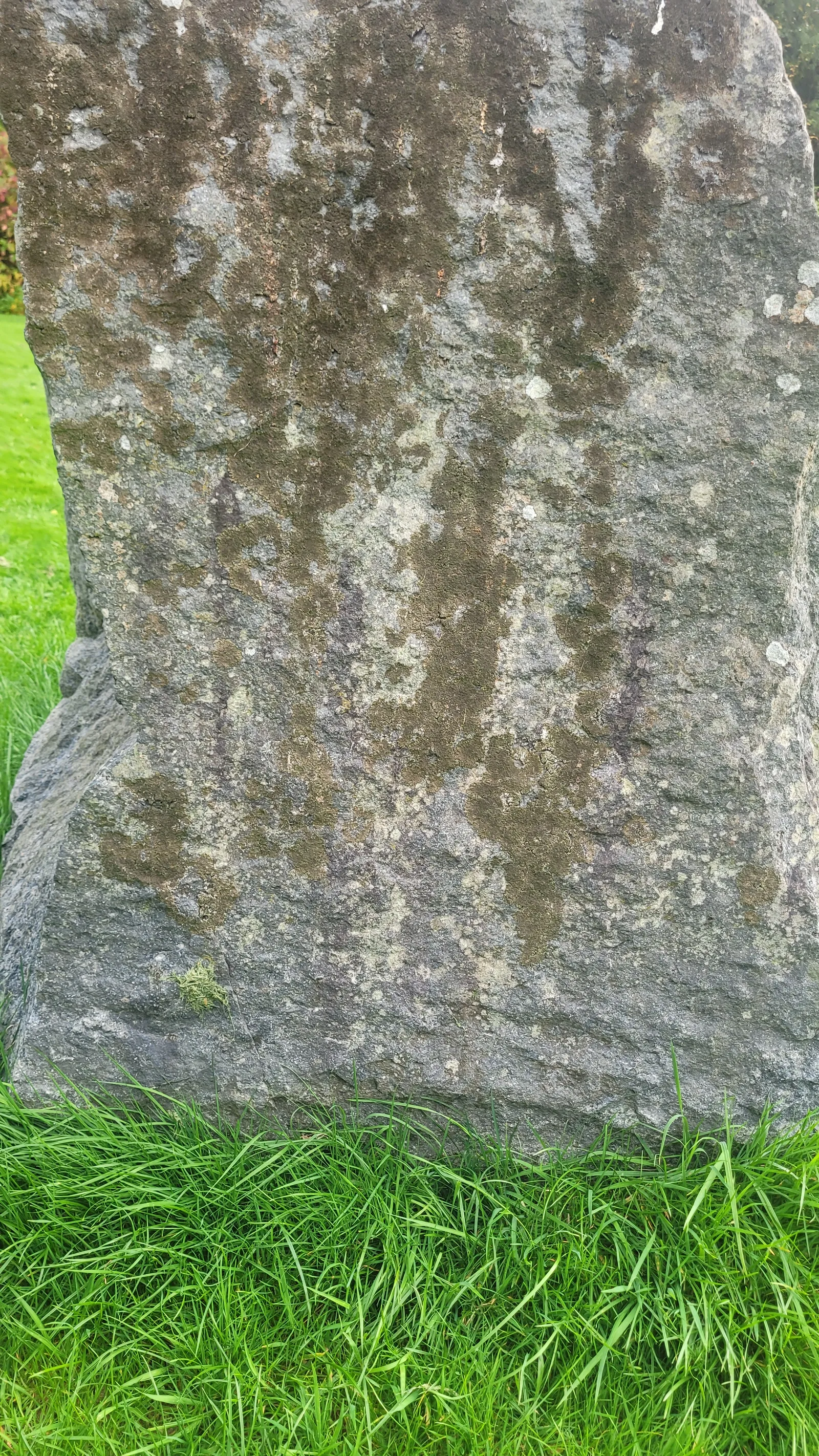 Stone85 texture