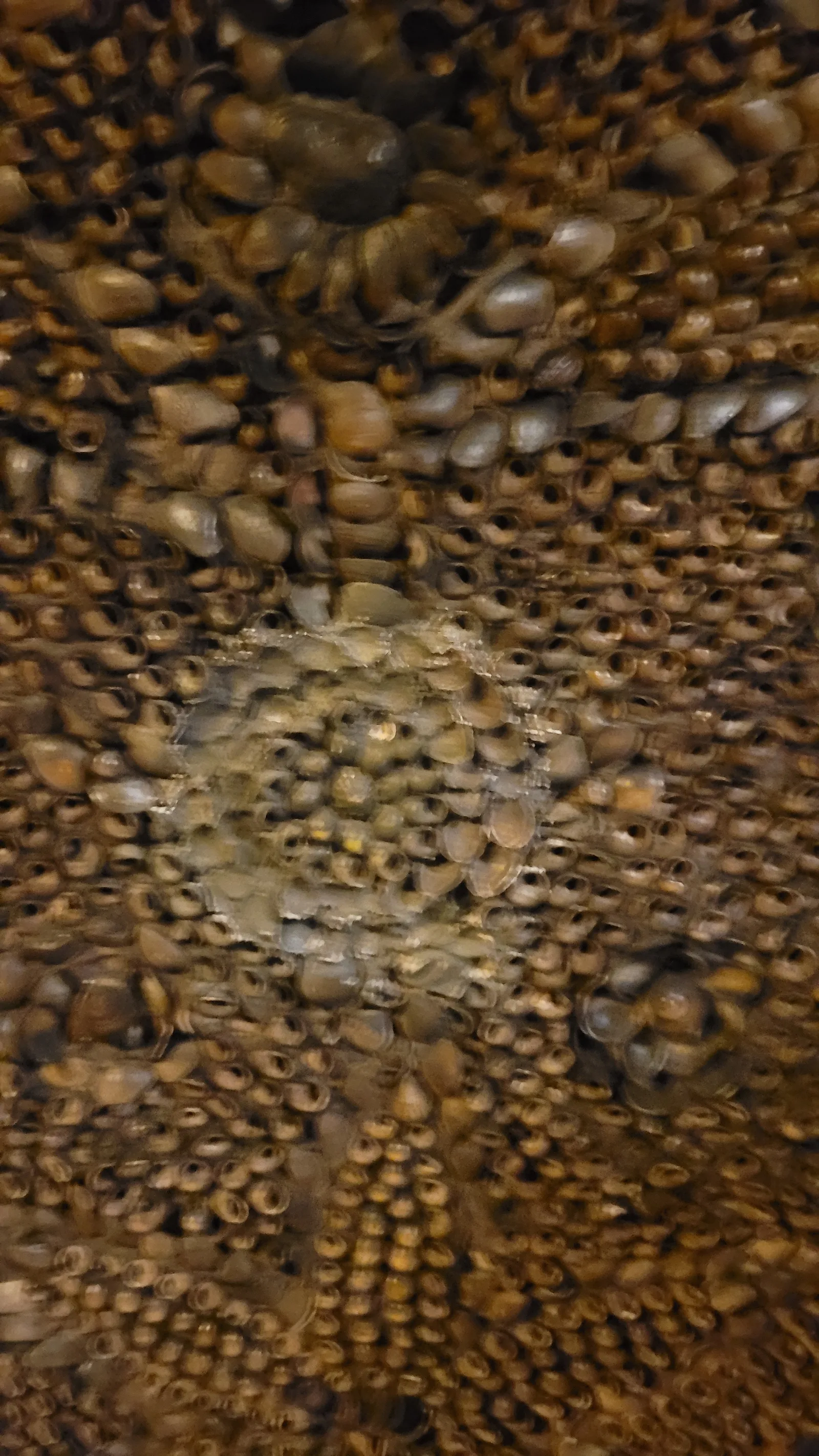 Stone102 texture