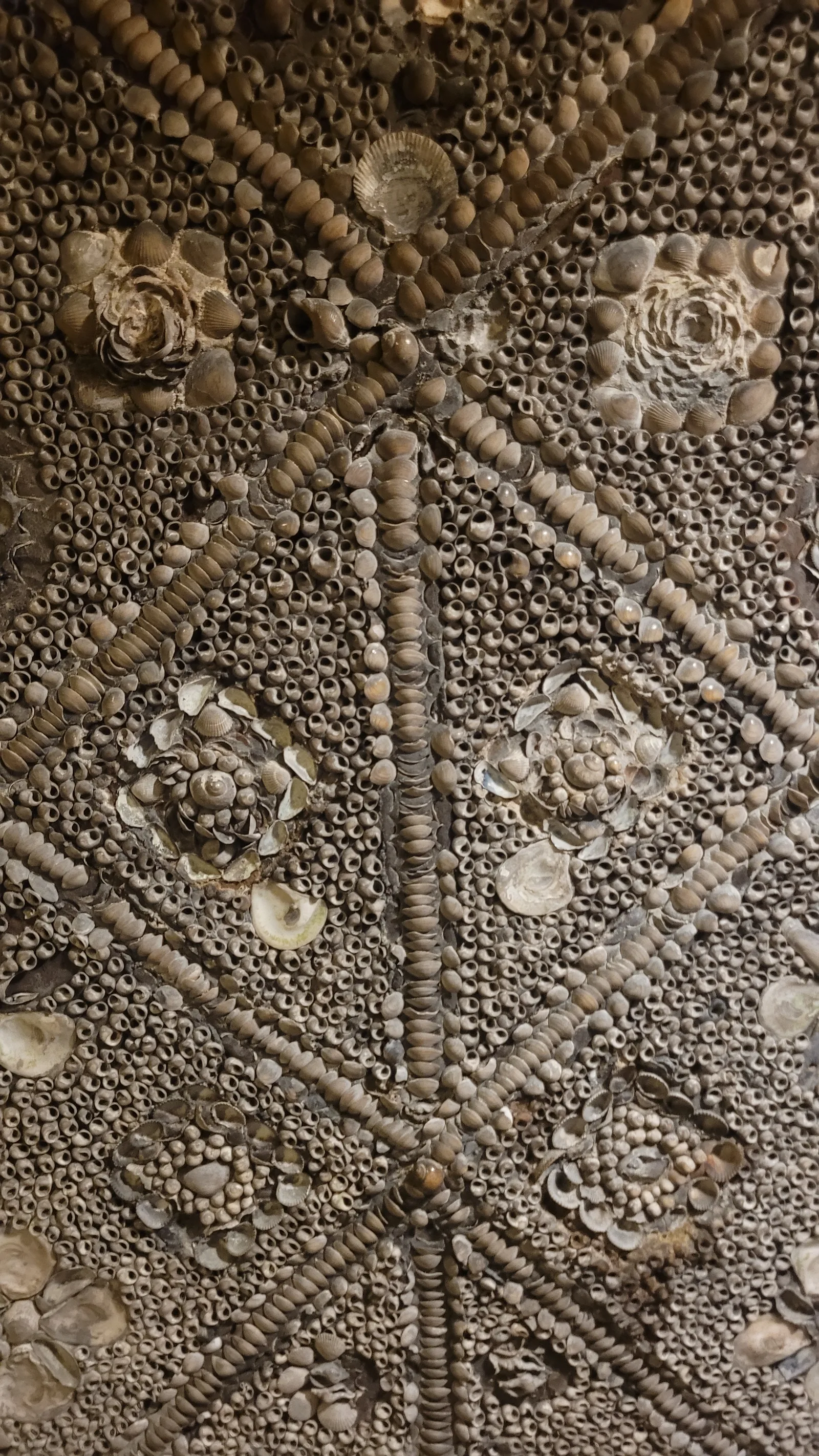 Stone107 texture