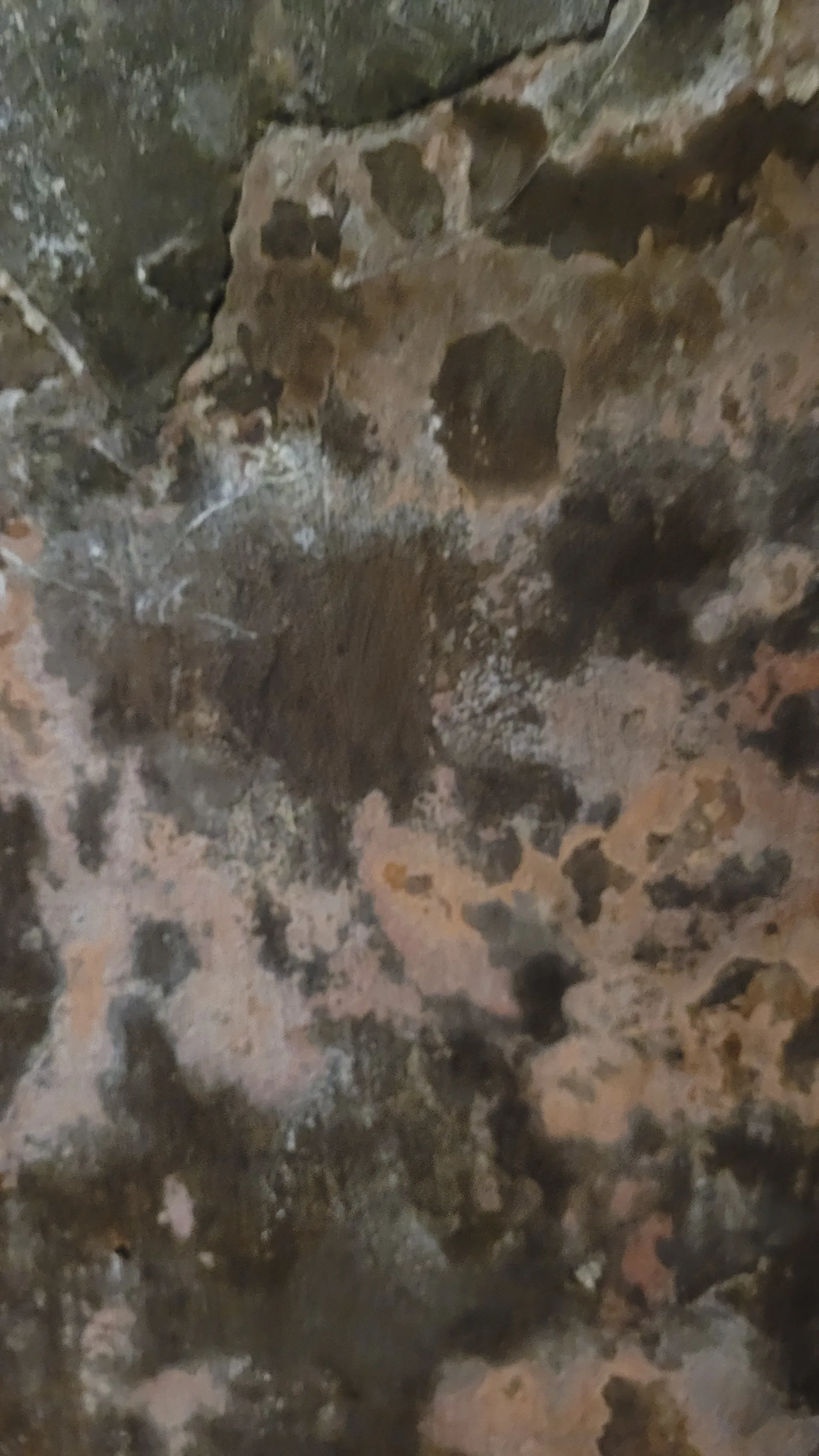 Stone111 texture