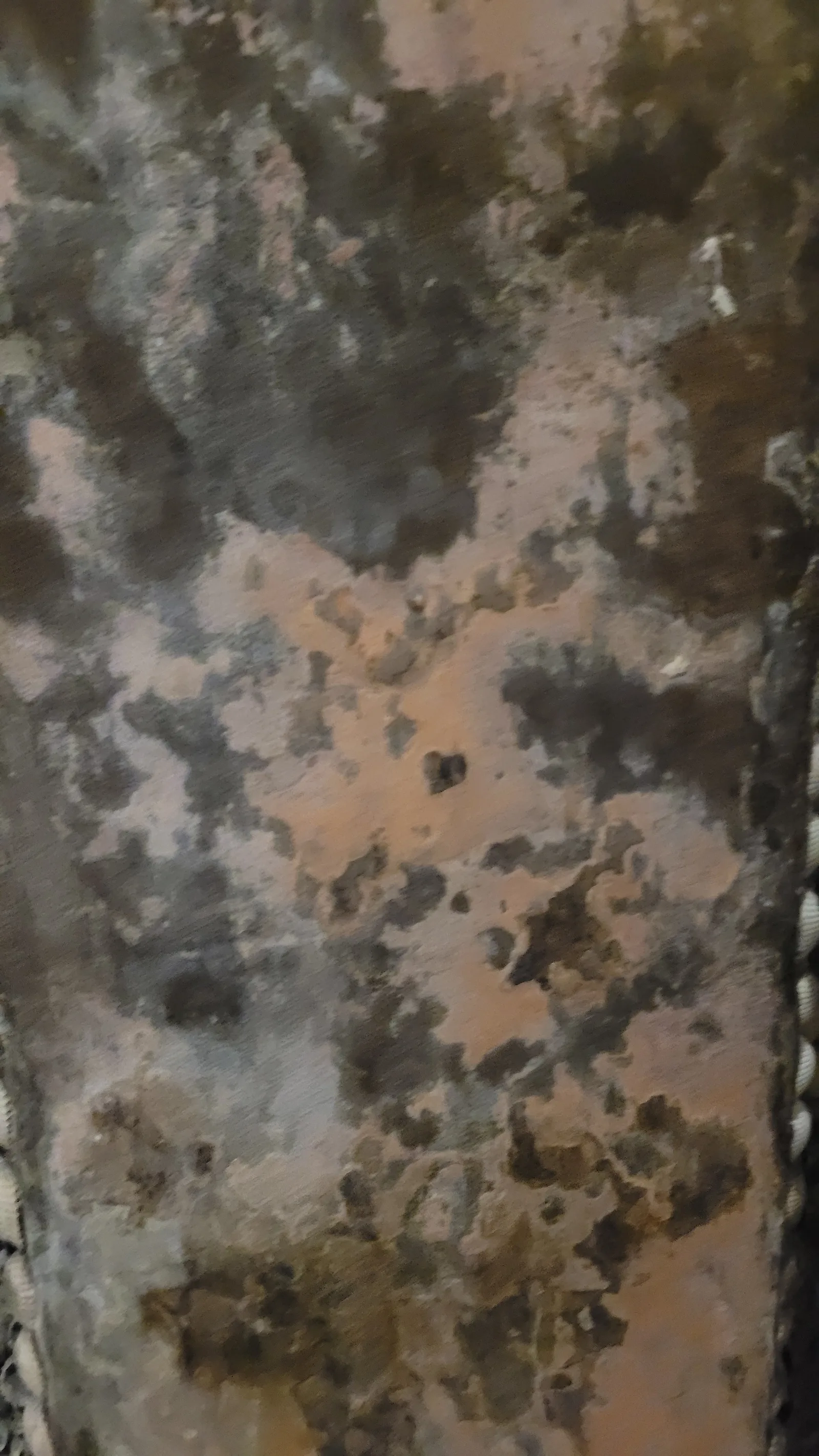 Stone113 texture