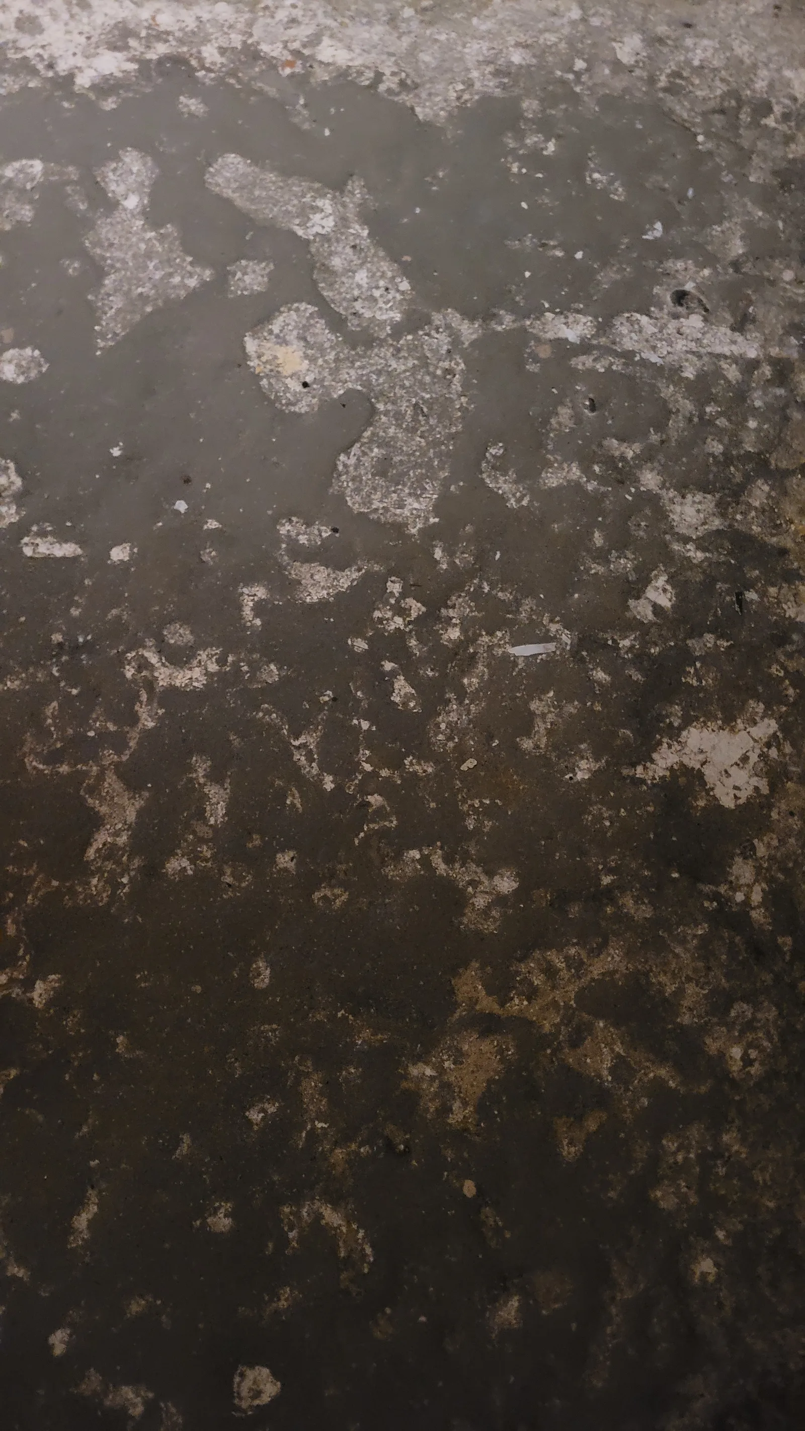 Stone117 texture