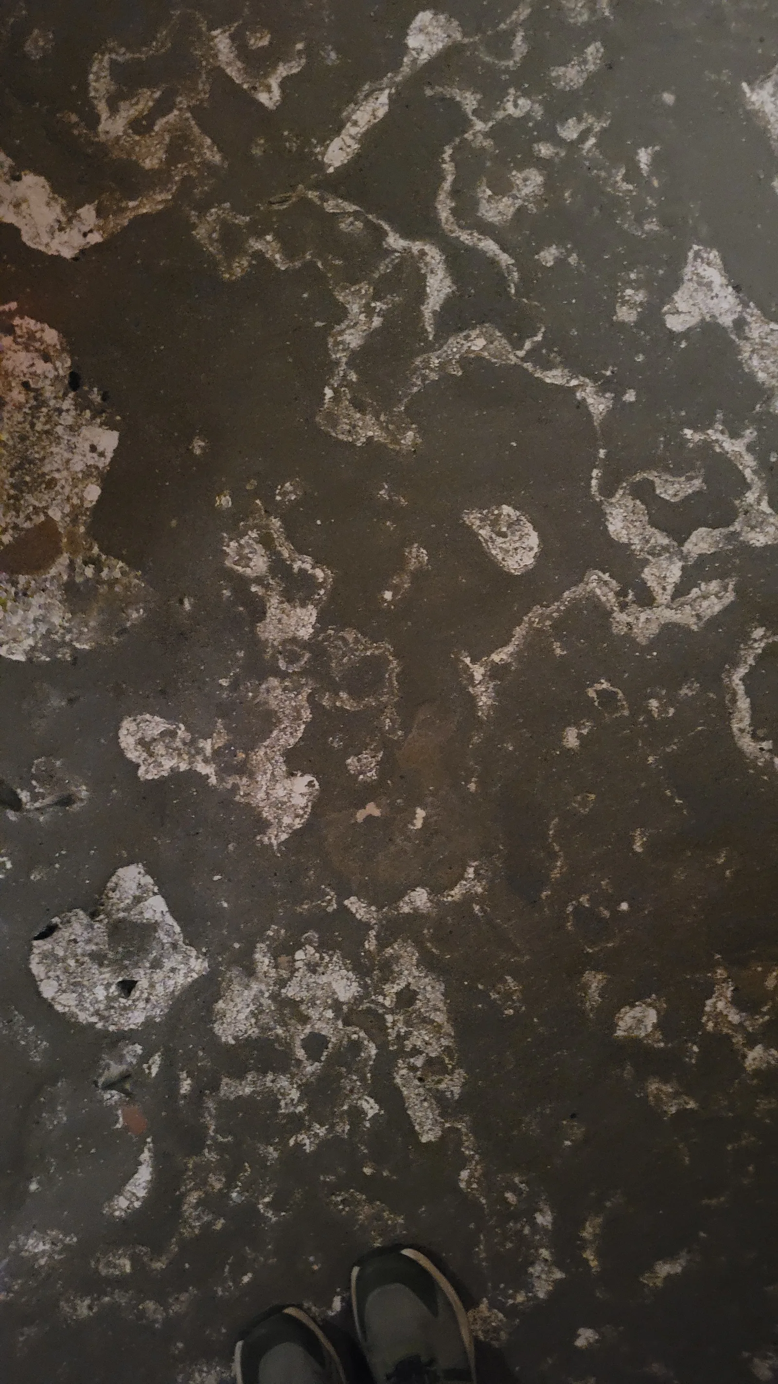 Stone118 texture